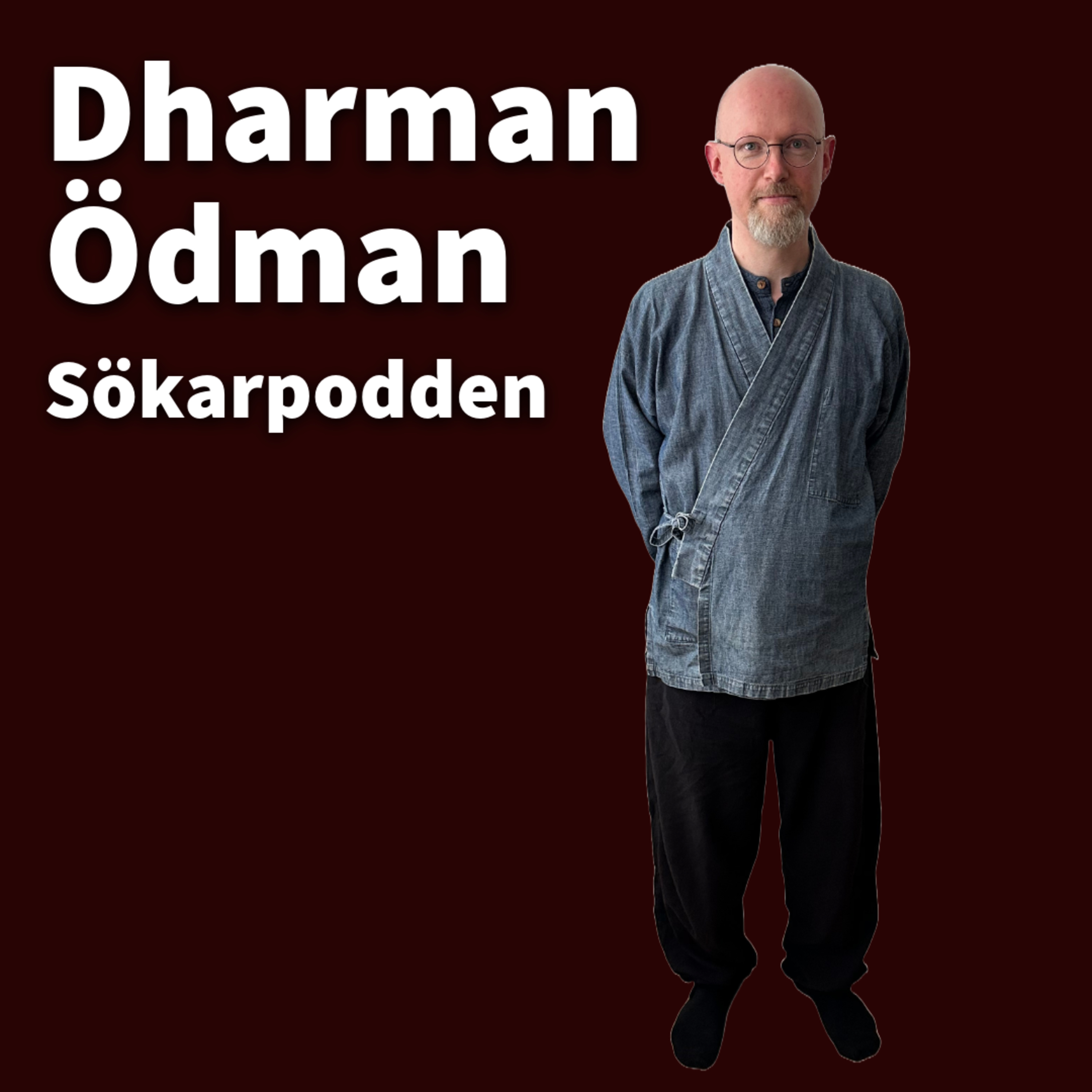 Sökarpodden