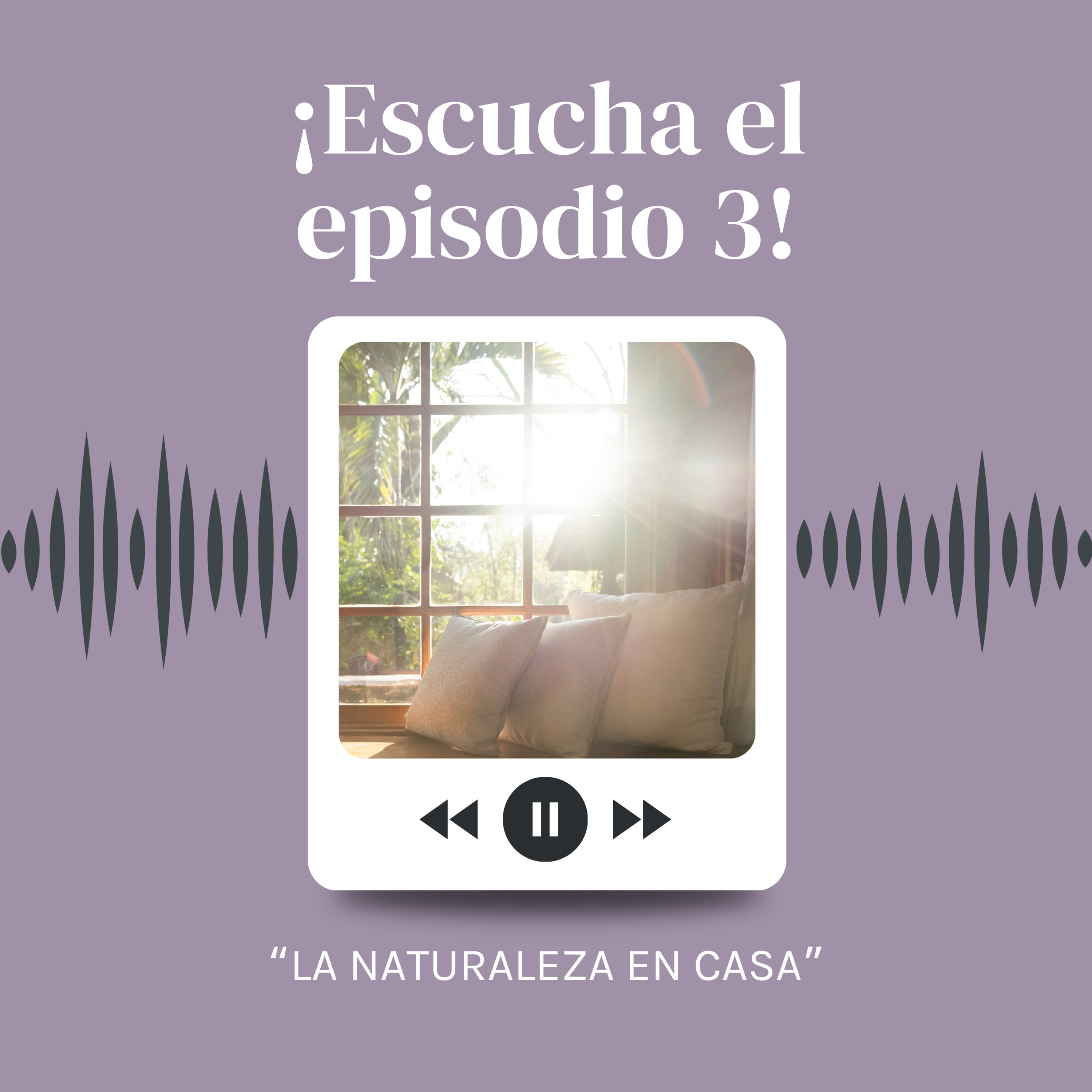 Portada de Somos Habitando