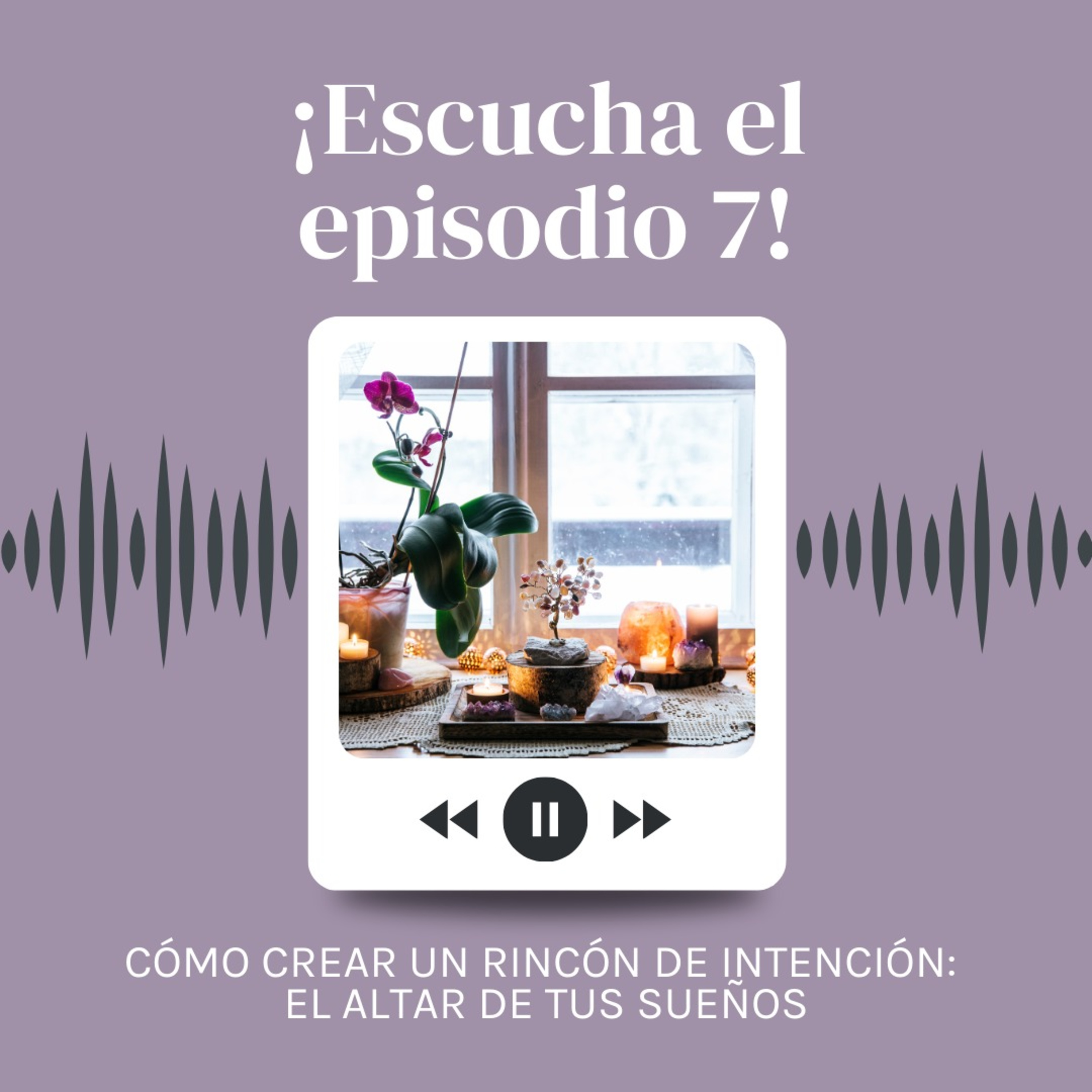 Portada de Somos Habitando