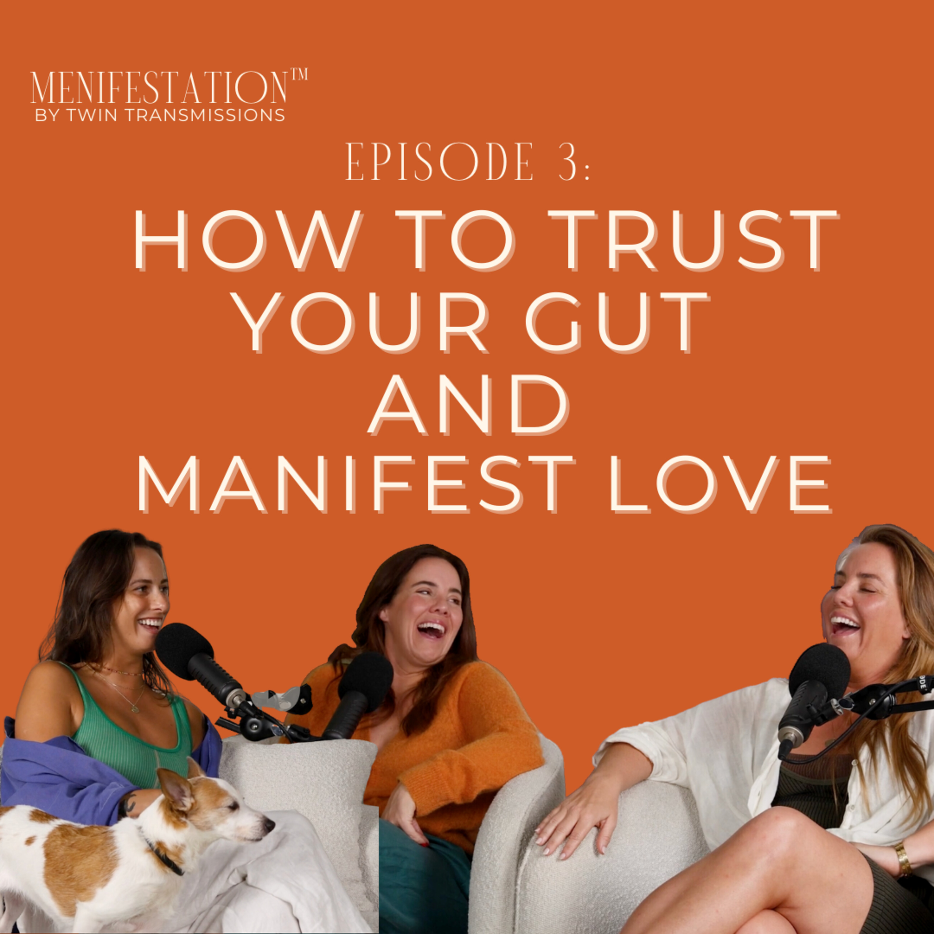 Menifestation™ by Twin Transmissions