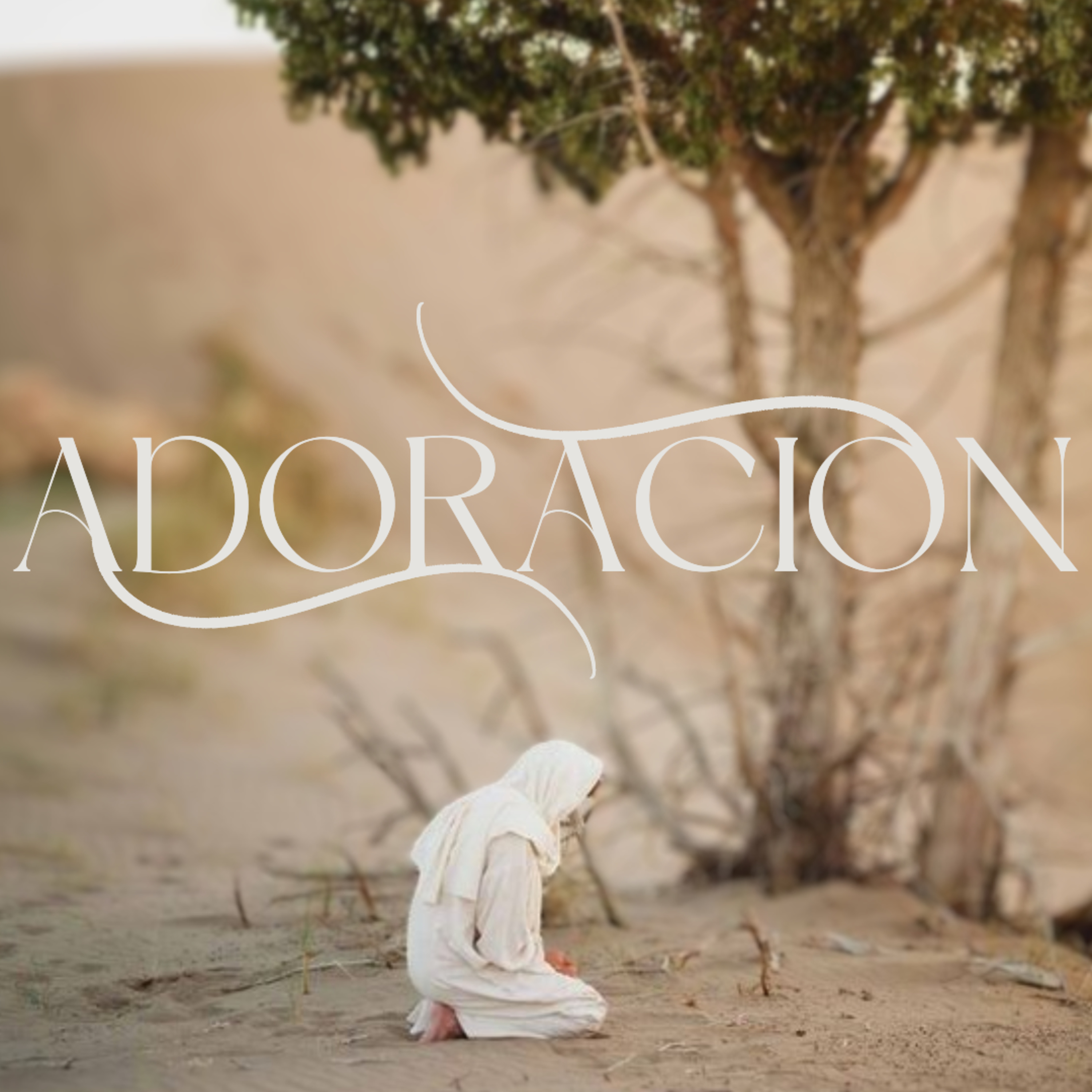 Adoración - Ps. Alejandro Mascareño episode artwork