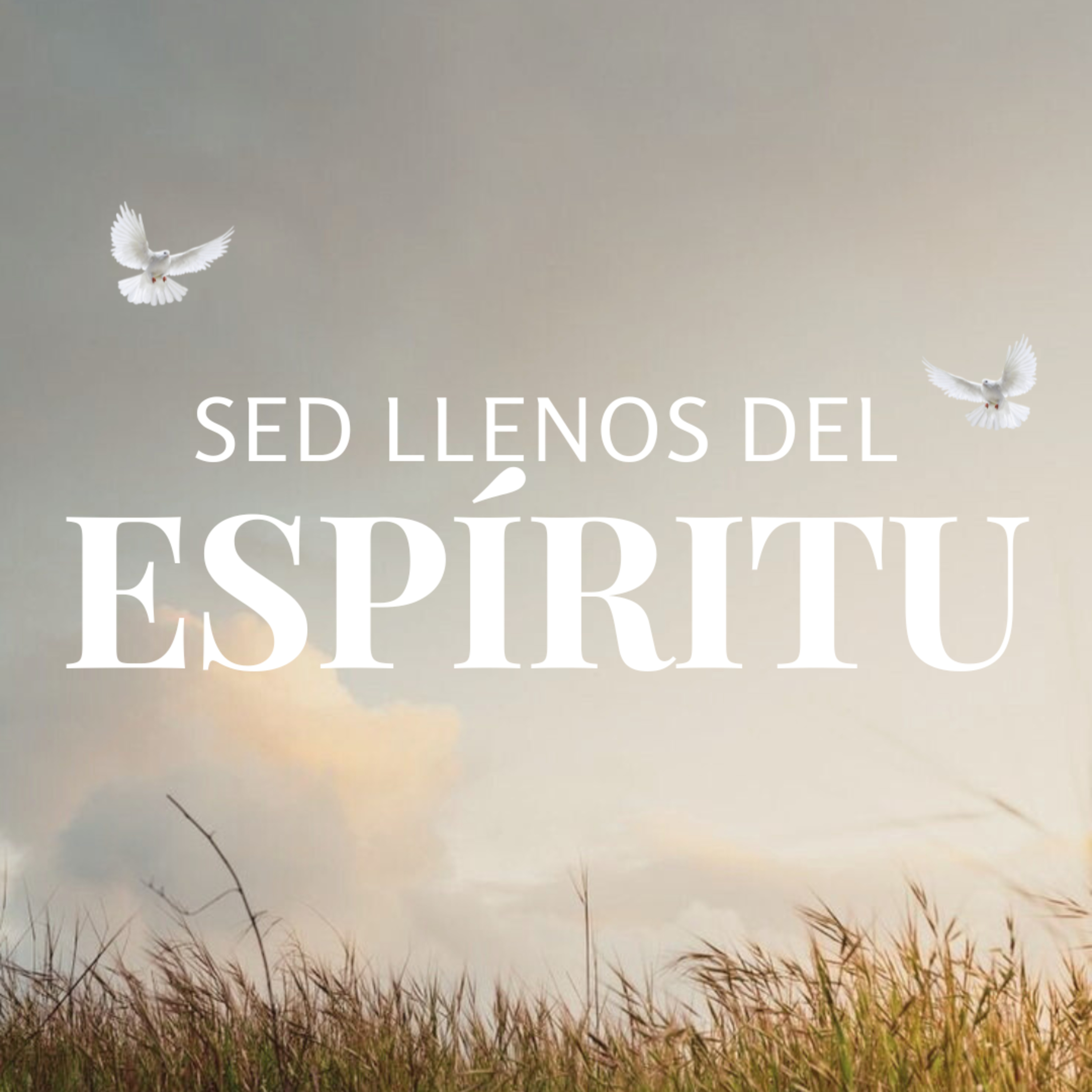 Ciudad De Dios Iglesia Cristiana