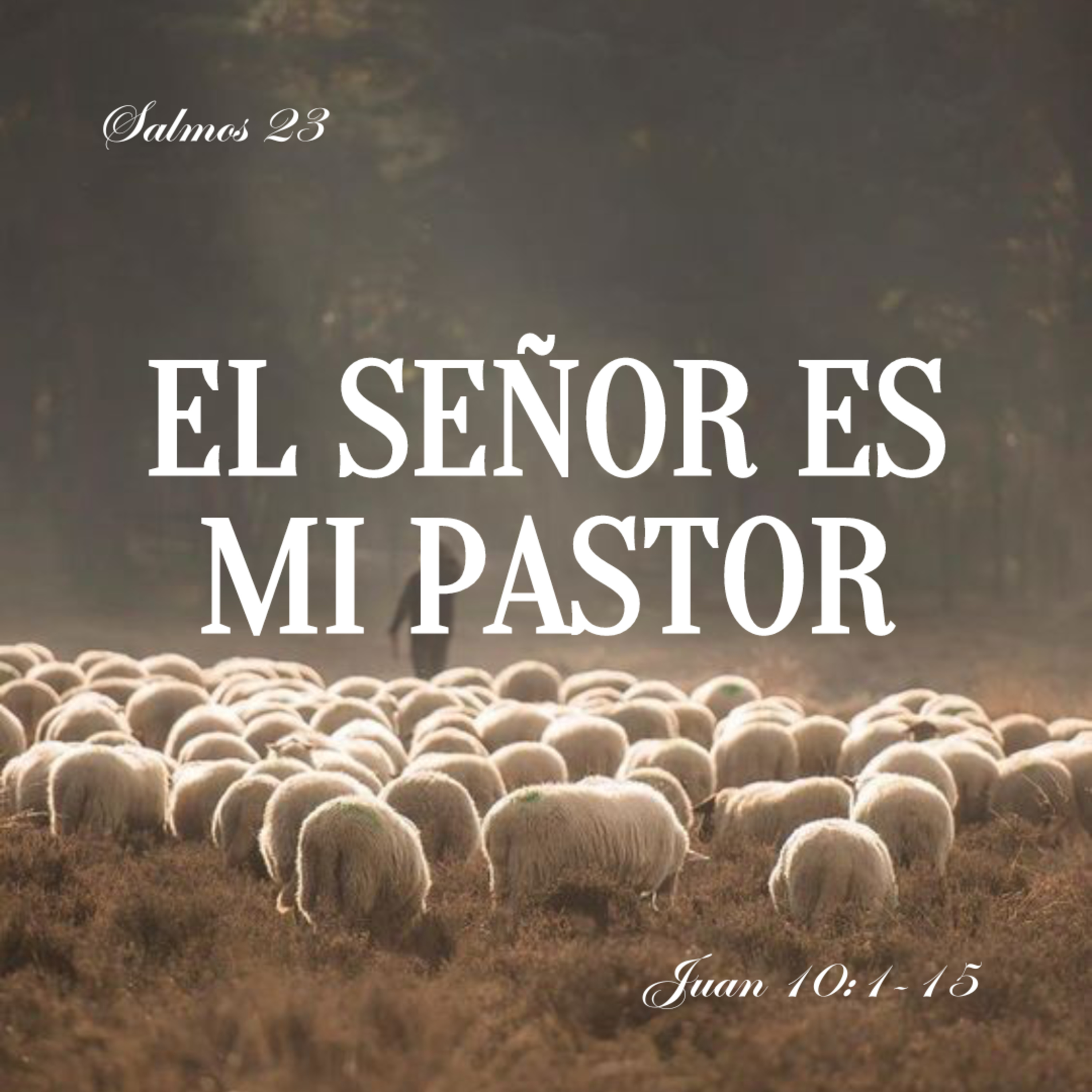 Ciudad De Dios Iglesia Cristiana