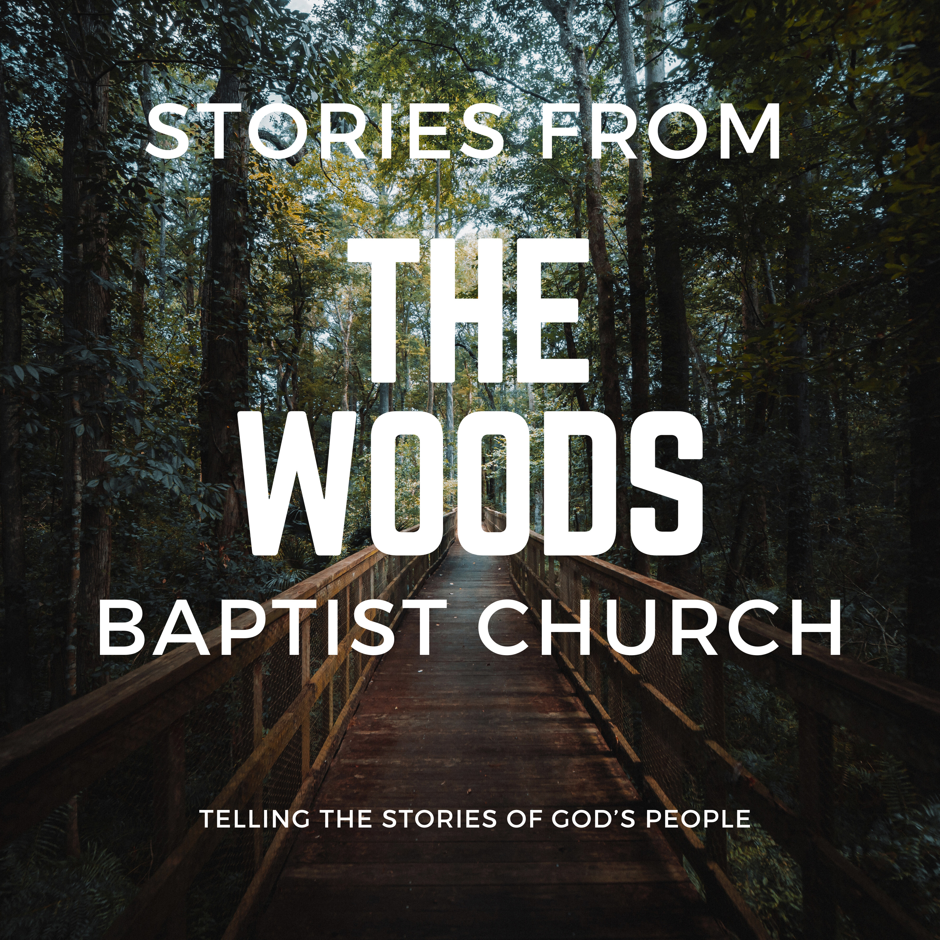 Stories From The Woods-Jacob Cline episode artwork