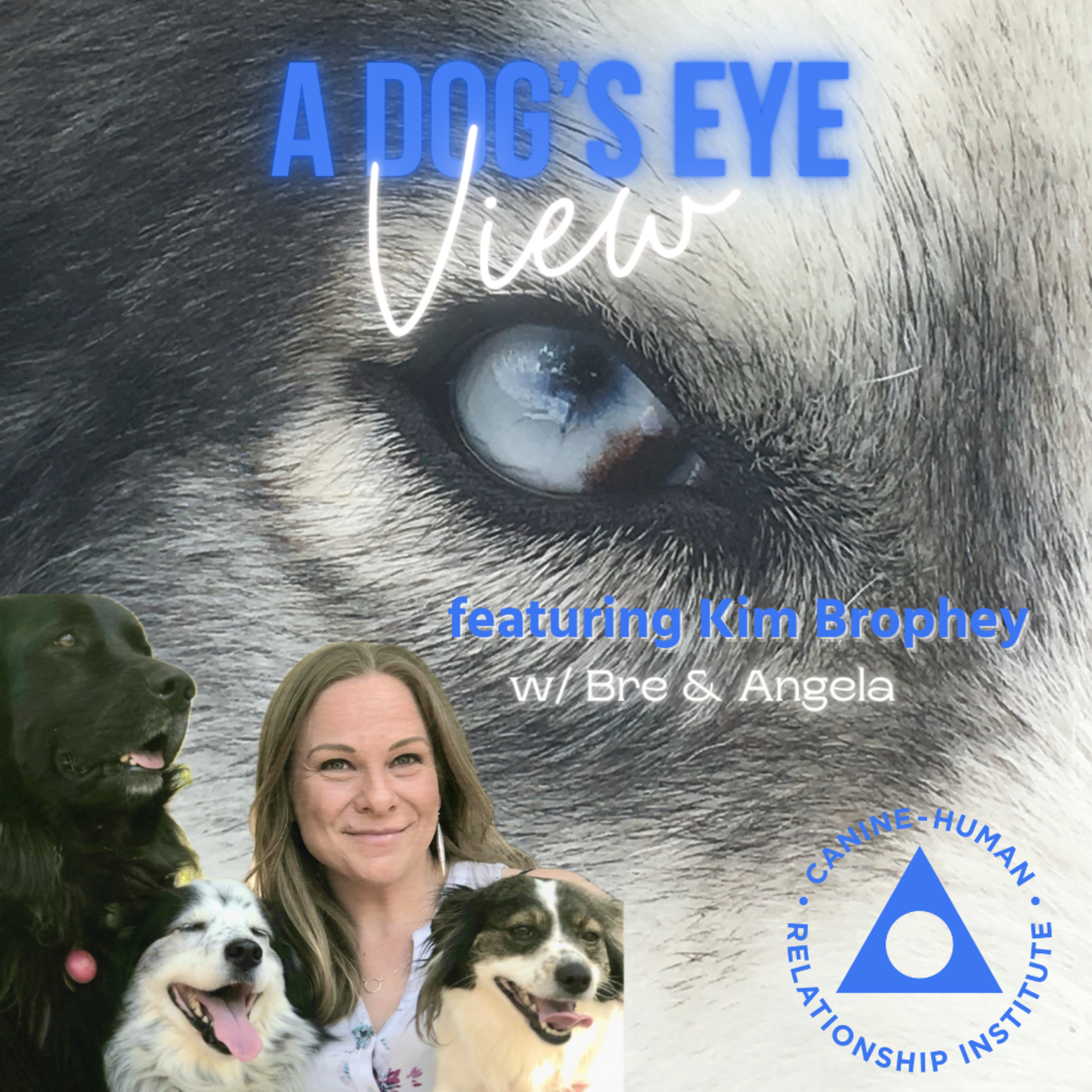 A Dog\'s Eye View