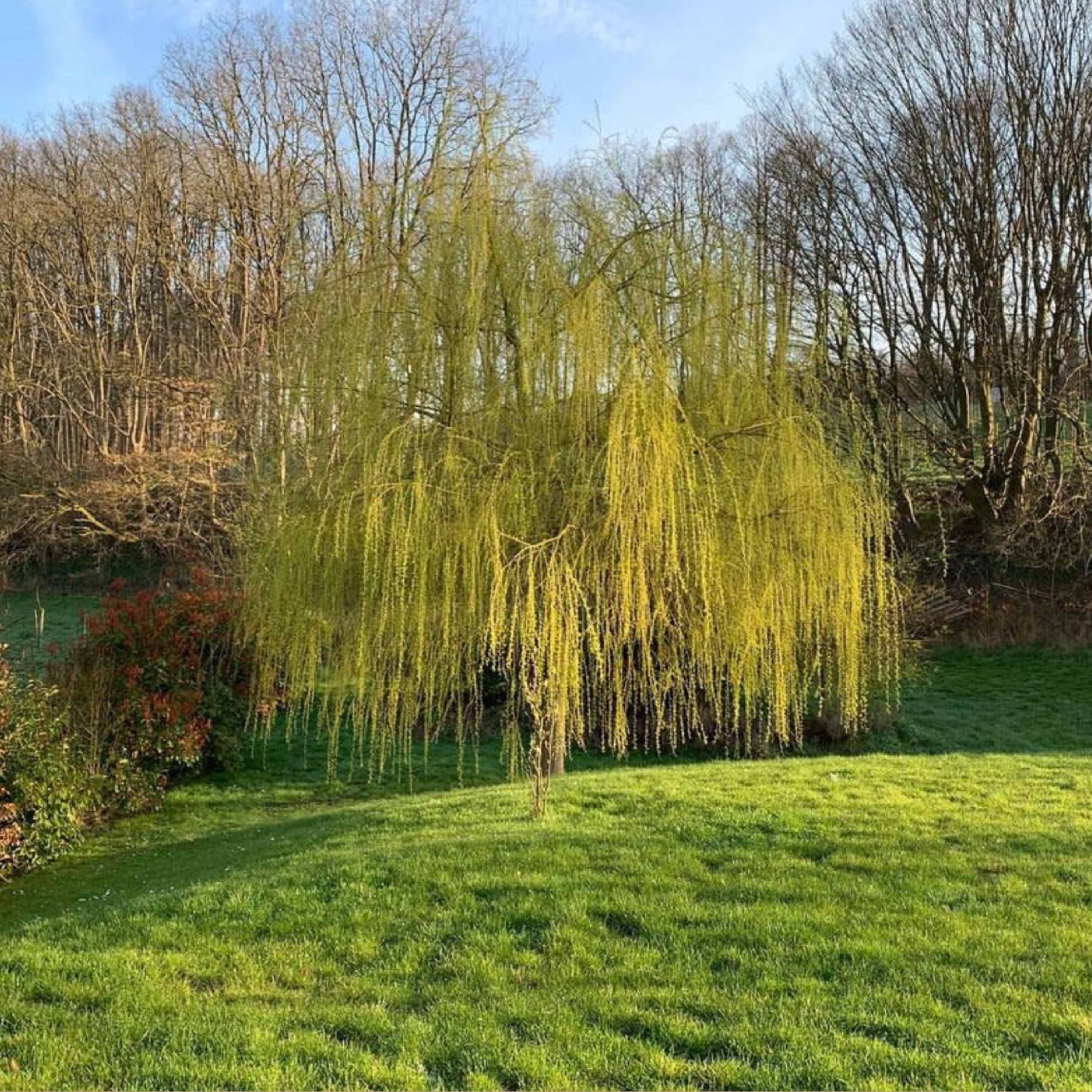 MAMIE RACONTE, le podcast héritage