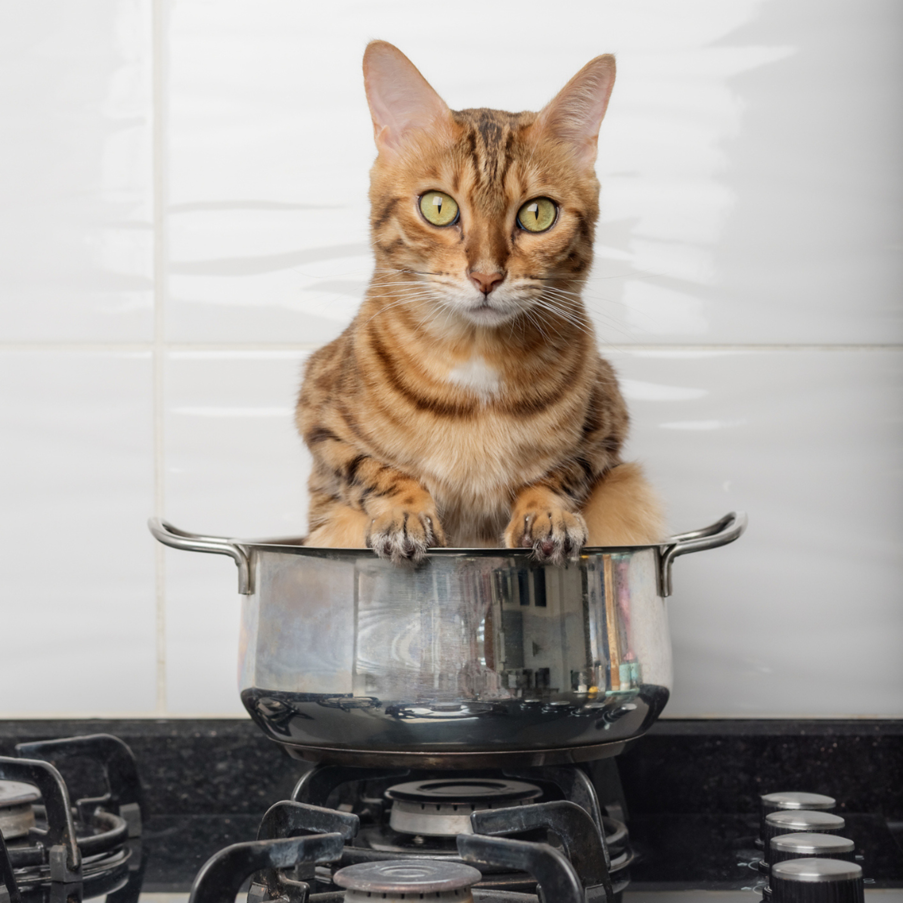 MAMIE RACONTE, le podcast héritage