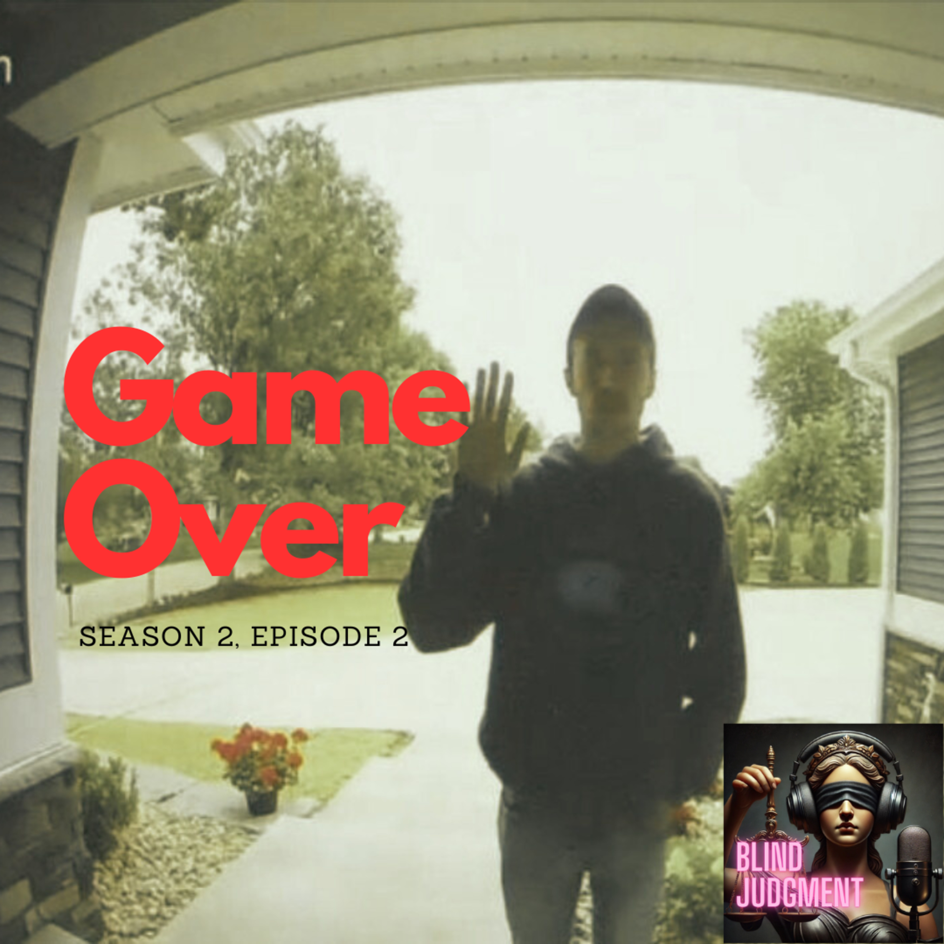 Game Over (S2E2) episode artwork