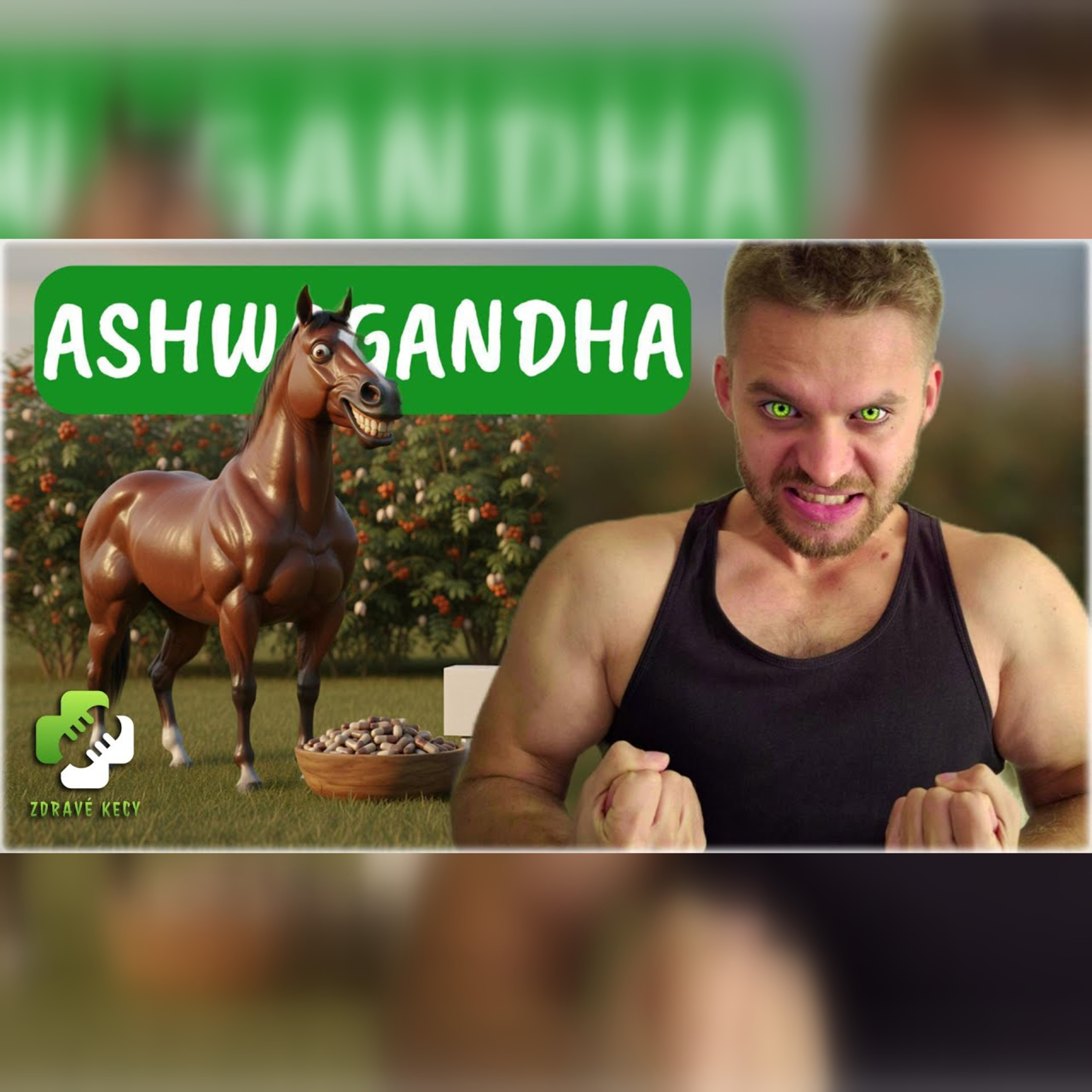 ASHWAGANDHA | Spánok, úzkosť, testosterón 🧐 Vedecká kontrola episode artwork