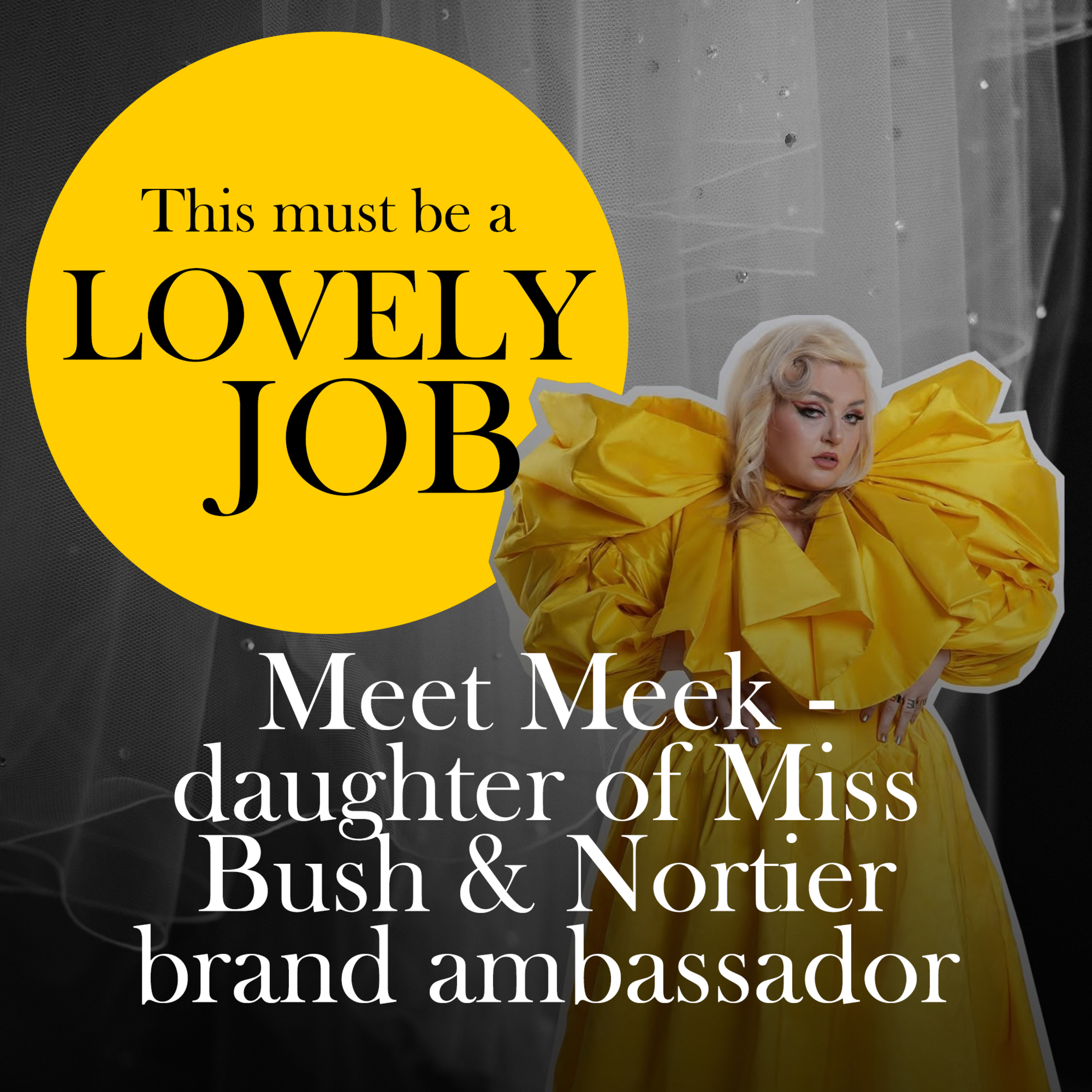 Lovely Job with Miss Bush
