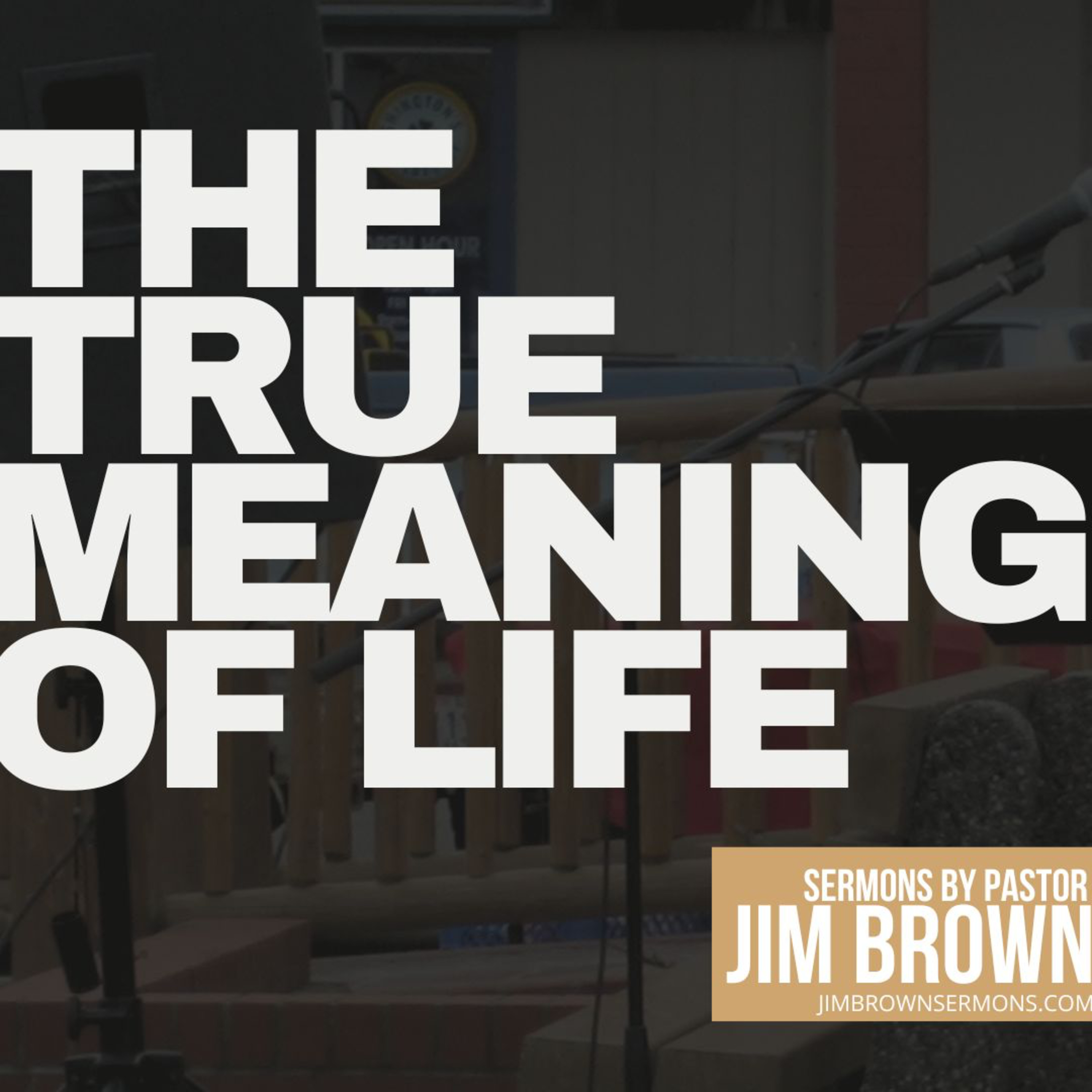Ep 9: The True Meaning of Life | The Purpose of Life from Genesis episode artwork
