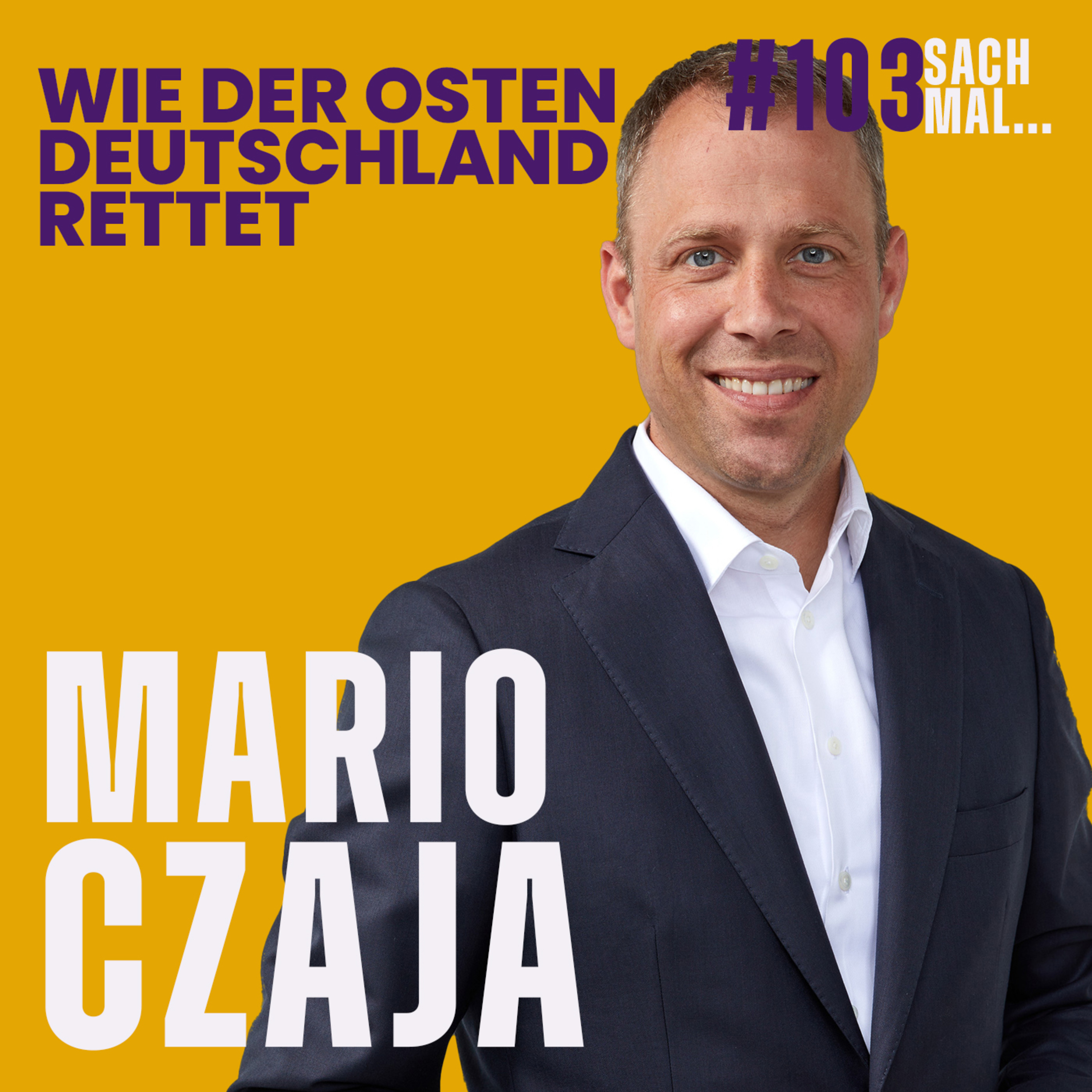 cover of episode Wie der Osten Deutschland rettet mit Mario Czaja