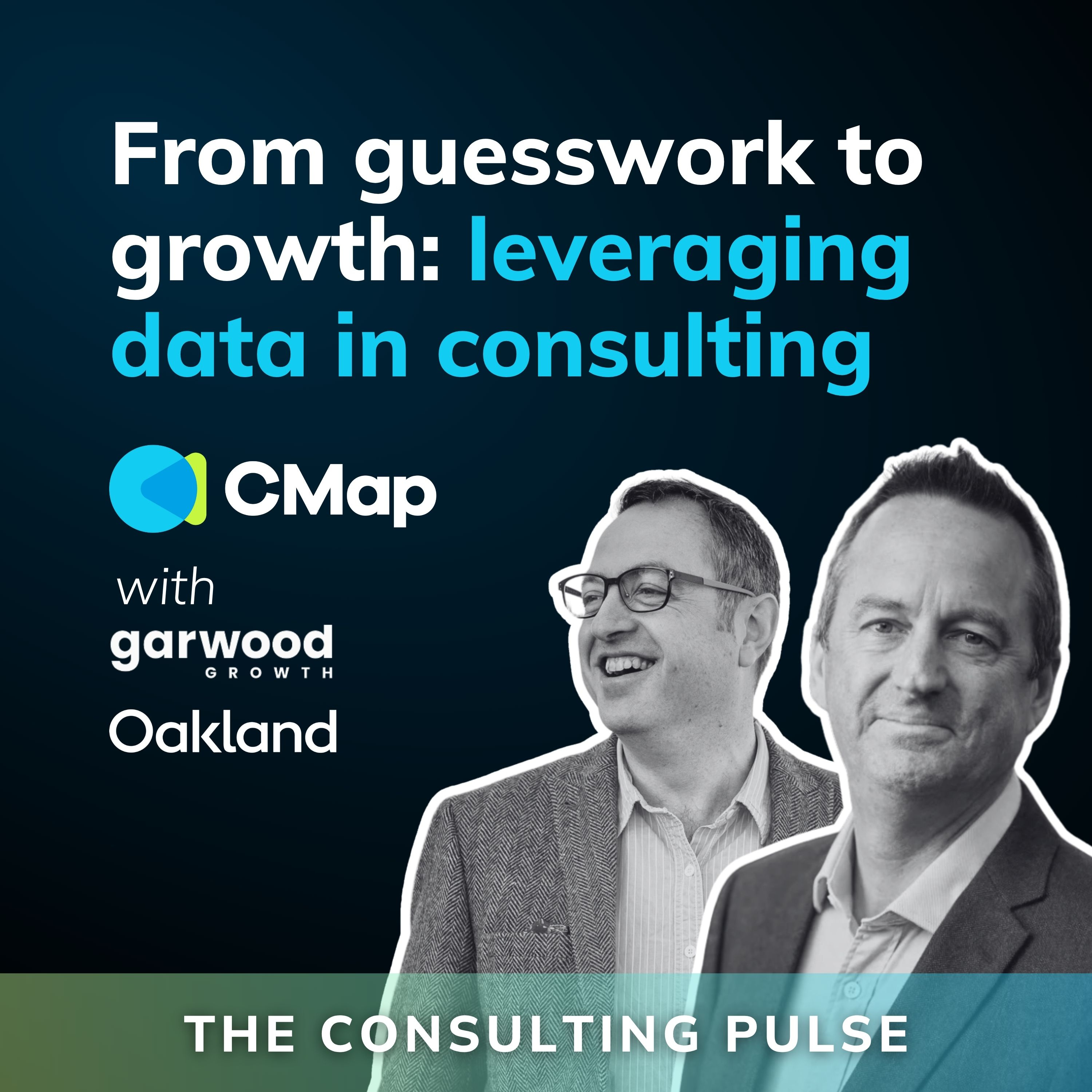 The Consulting Pulse by CMap