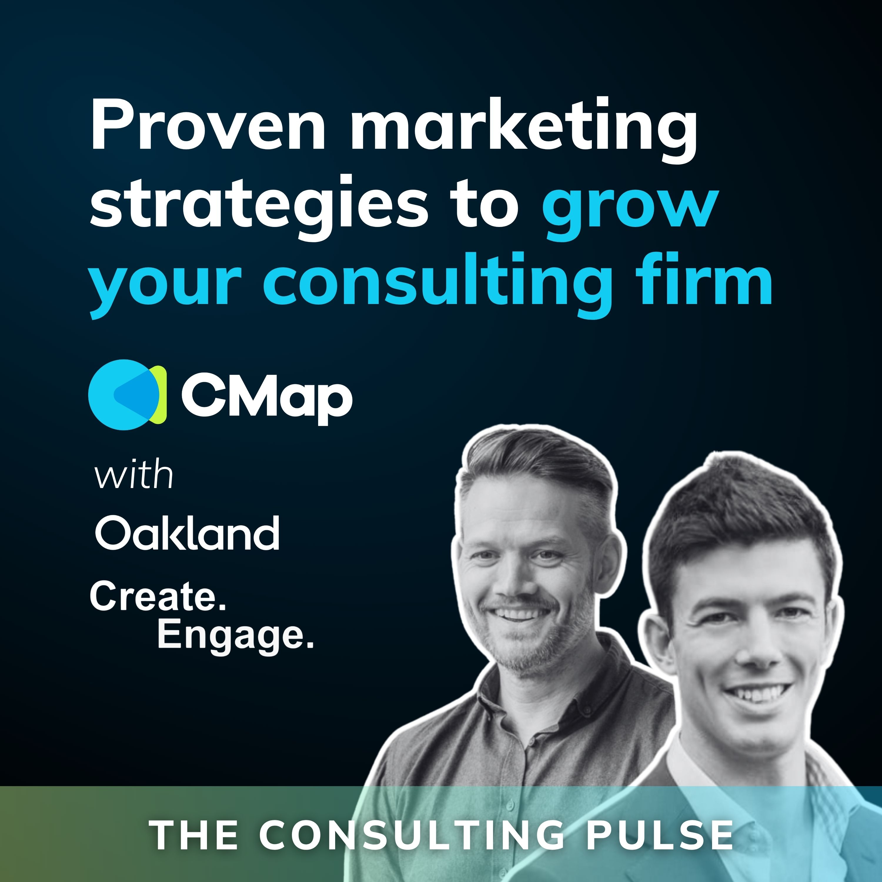 The Consulting Pulse by CMap