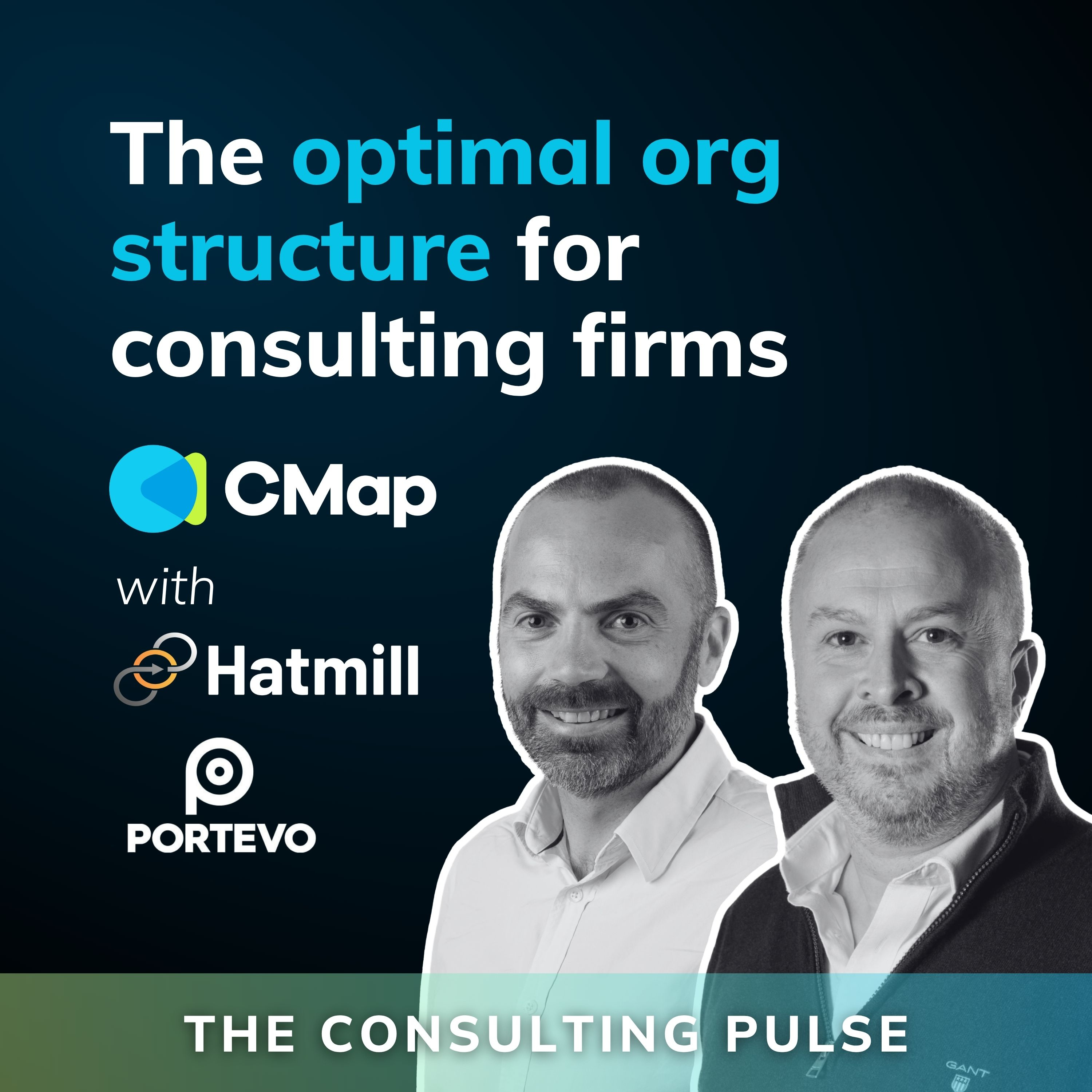 The Consulting Pulse by CMap