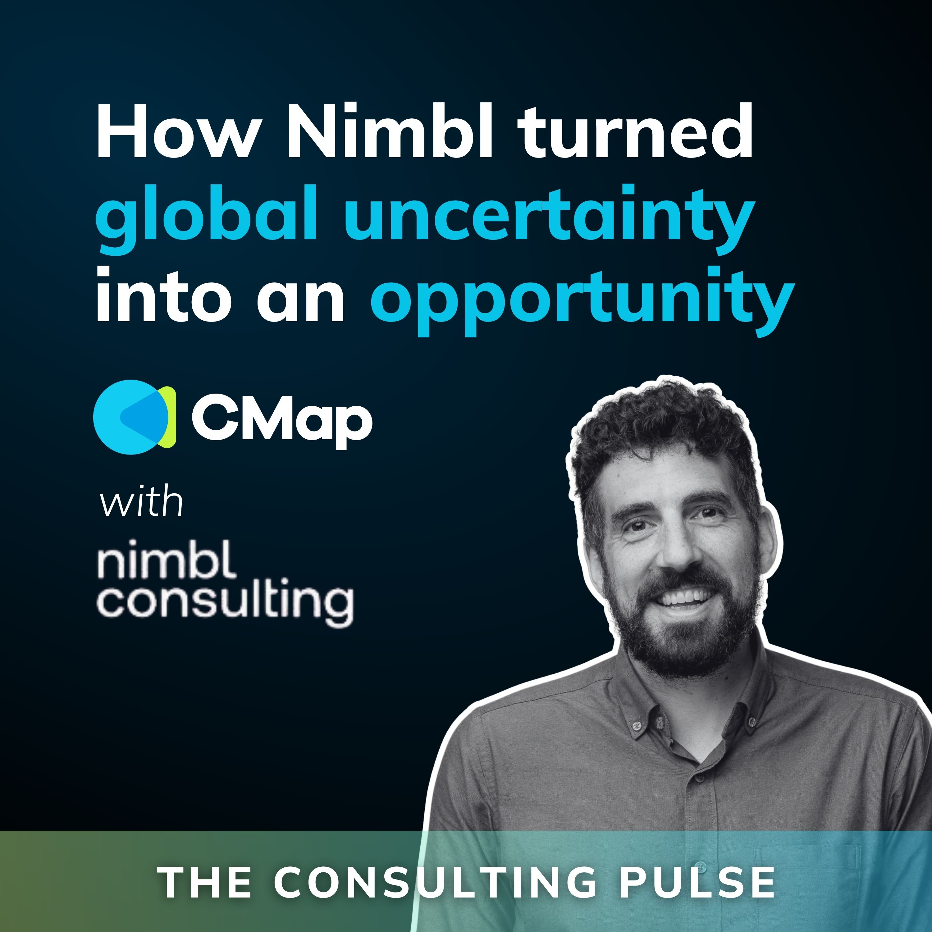 The Consulting Pulse by CMap