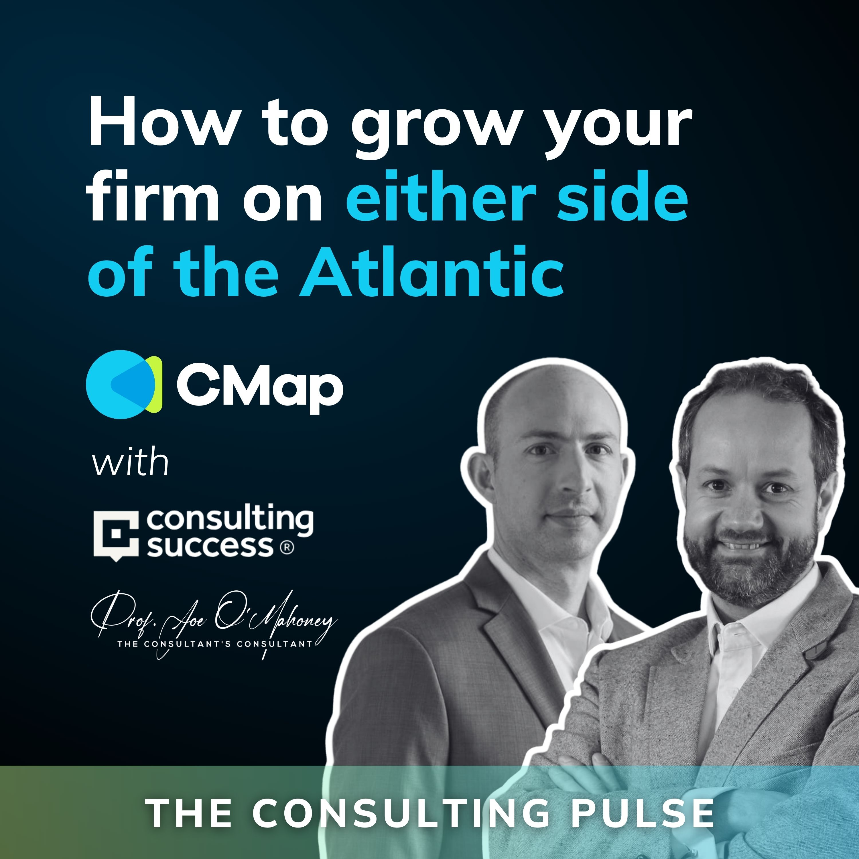 The Consulting Pulse by CMap