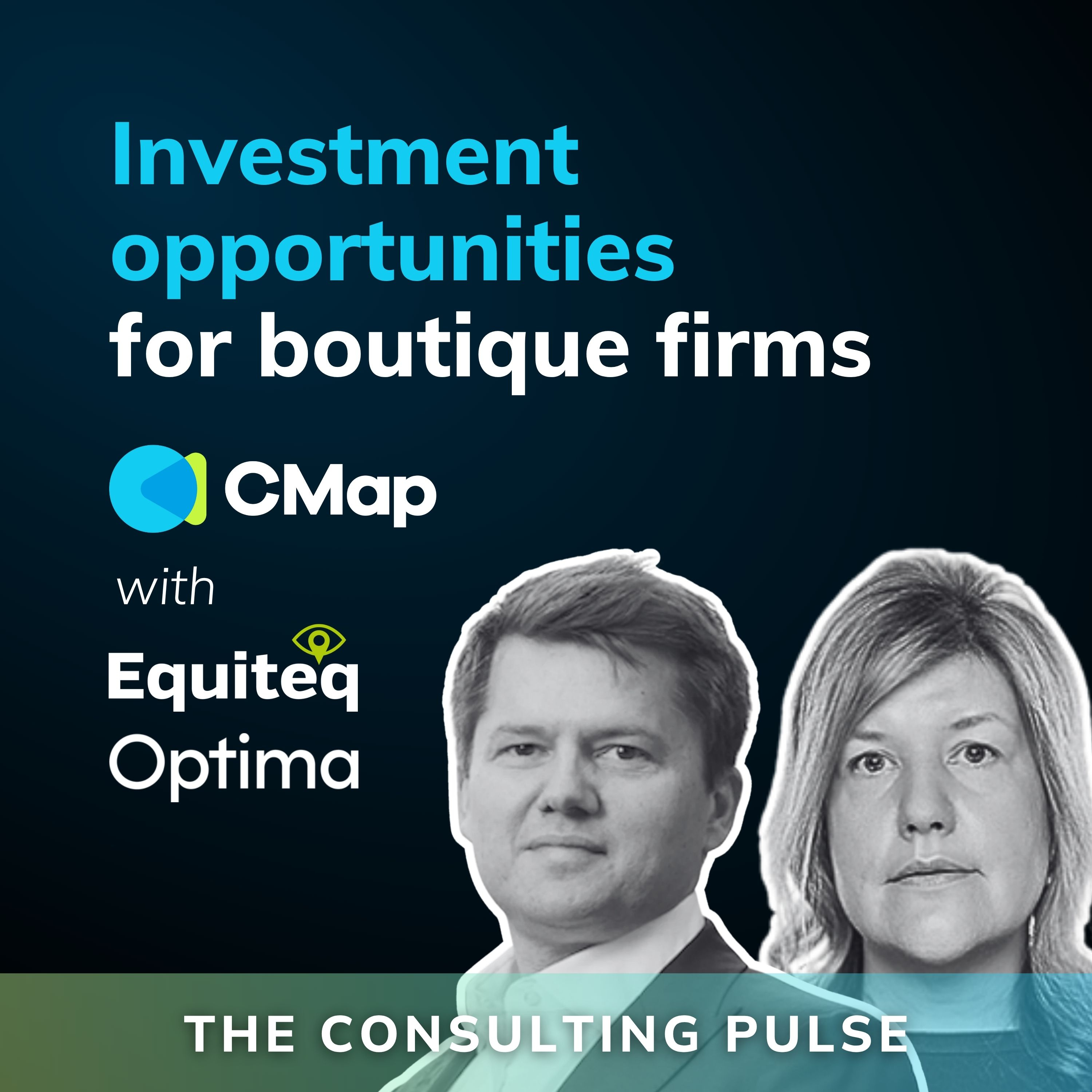 The Consulting Pulse by CMap