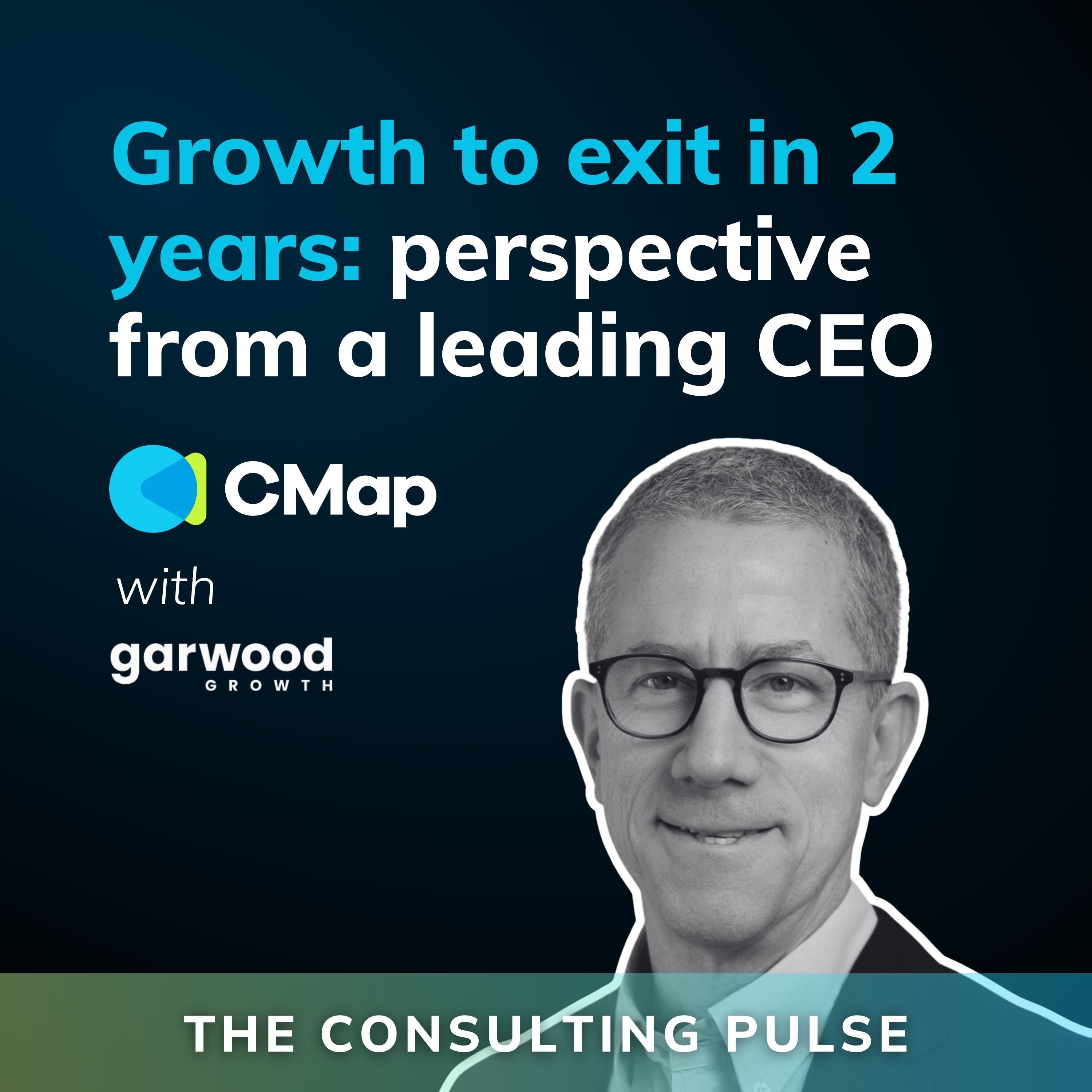 The Consulting Pulse by CMap