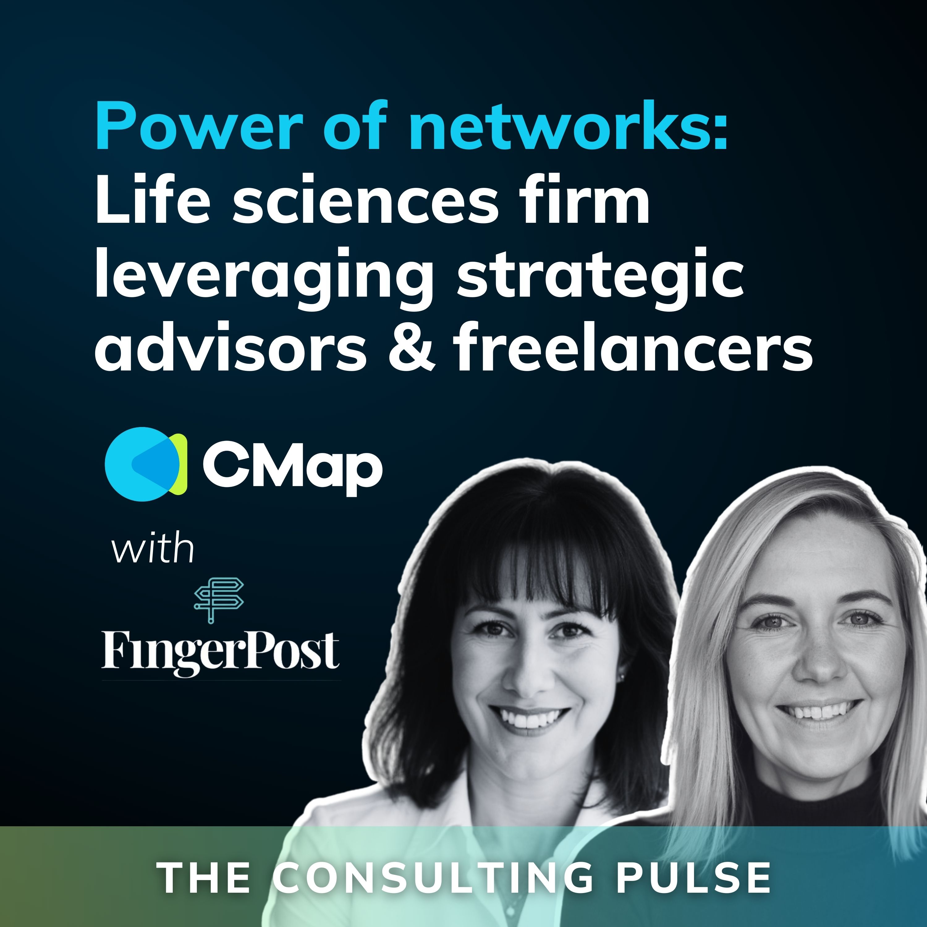 The Consulting Pulse by CMap