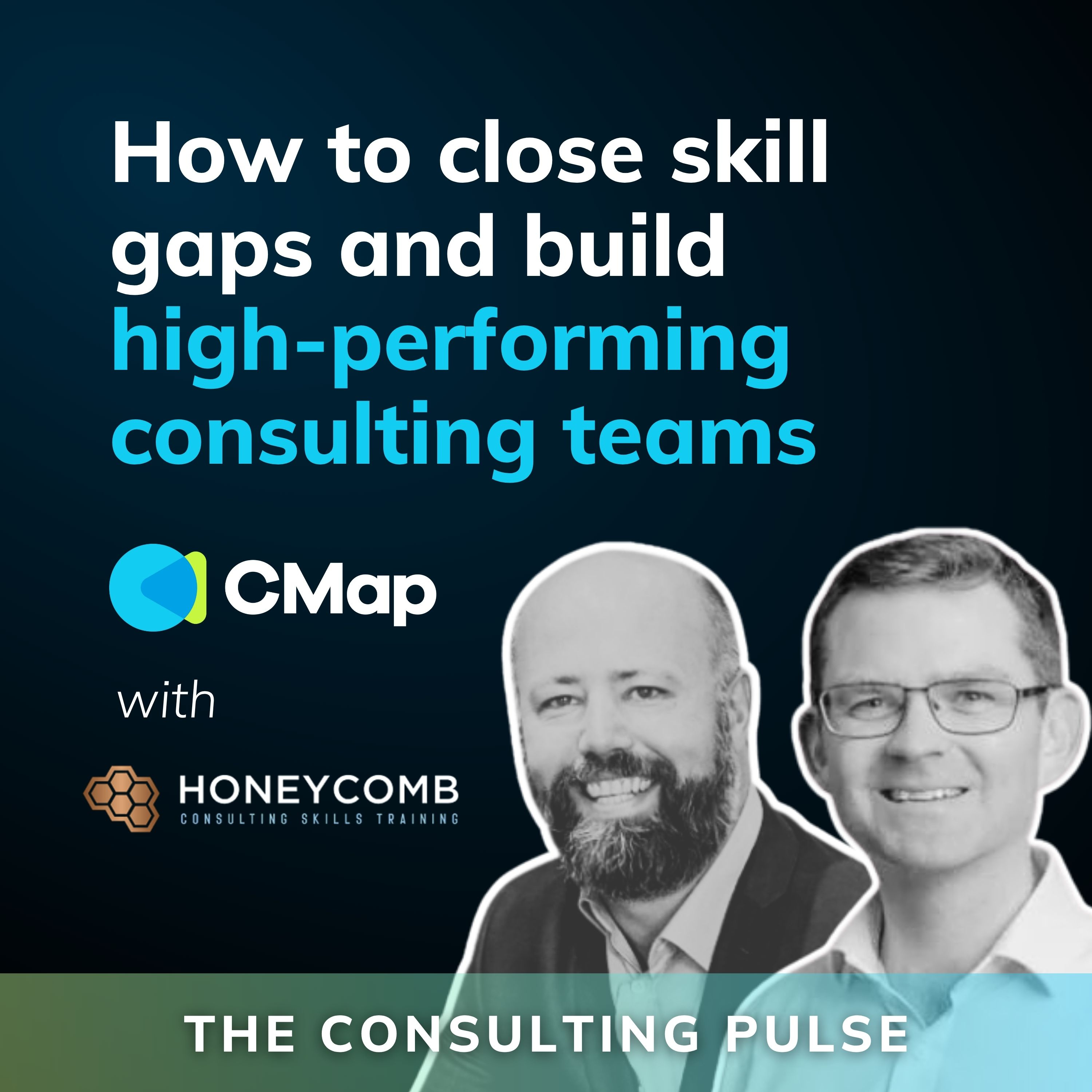 The Consulting Pulse by CMap