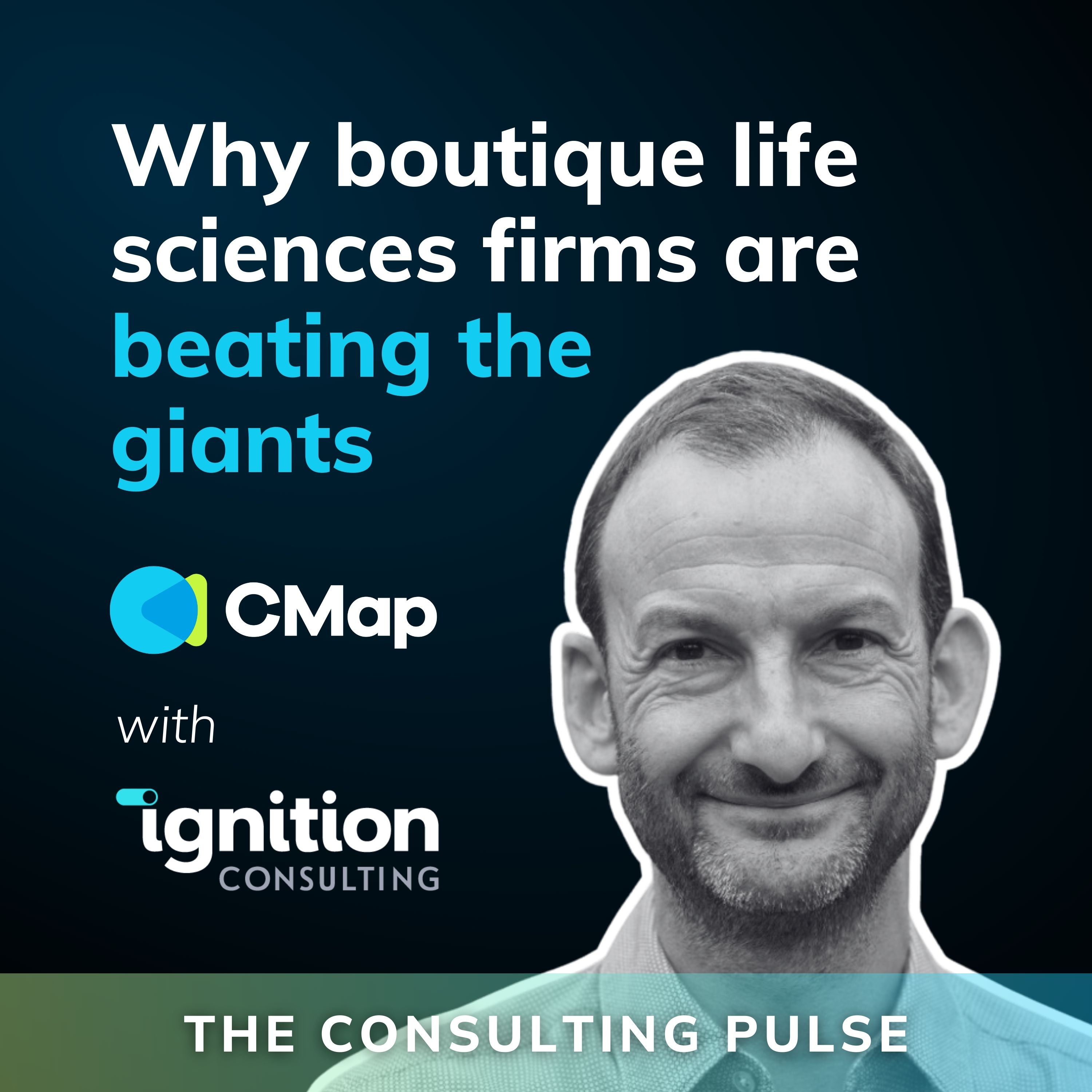 The Consulting Pulse by CMap