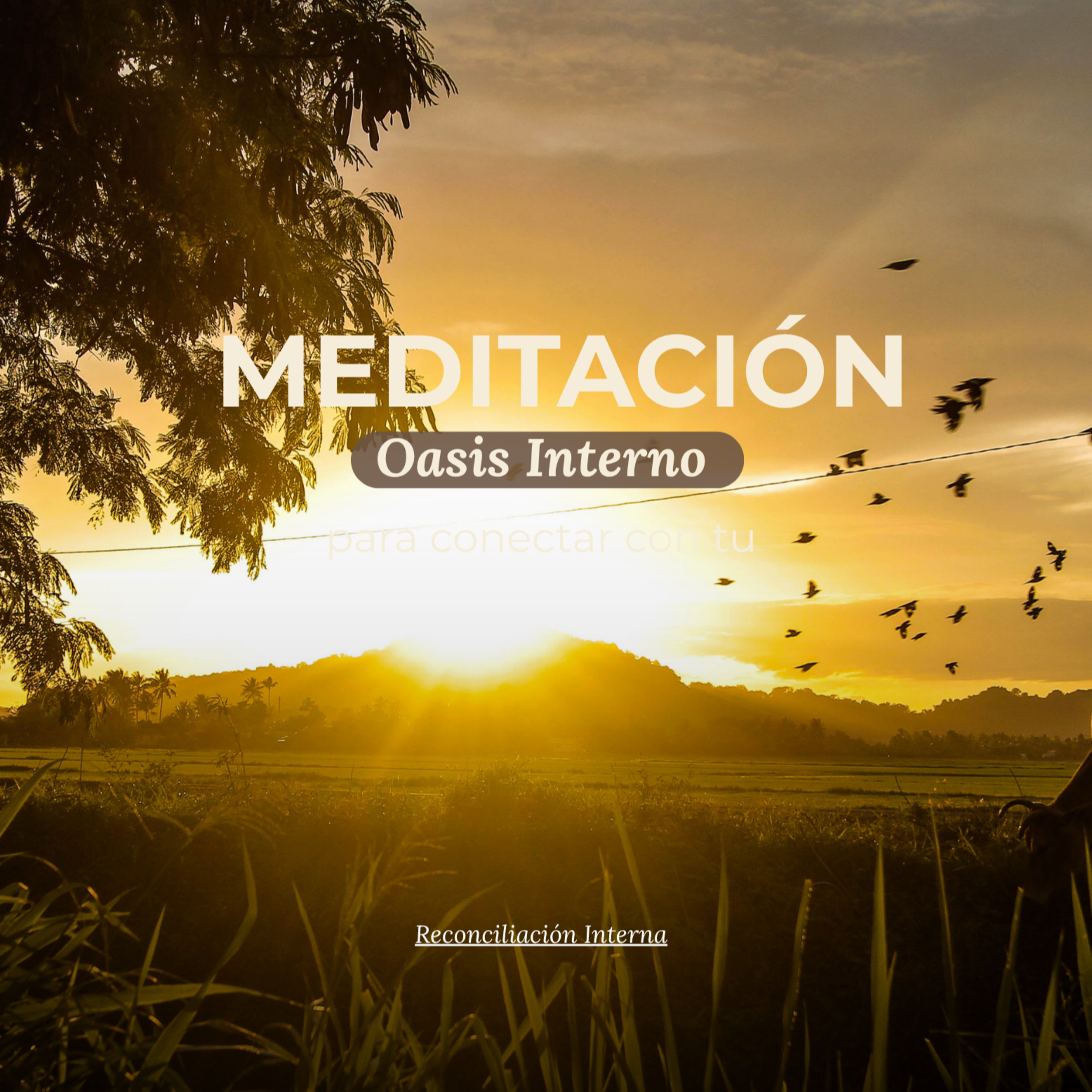 Portada de El Arte de AceptarTe