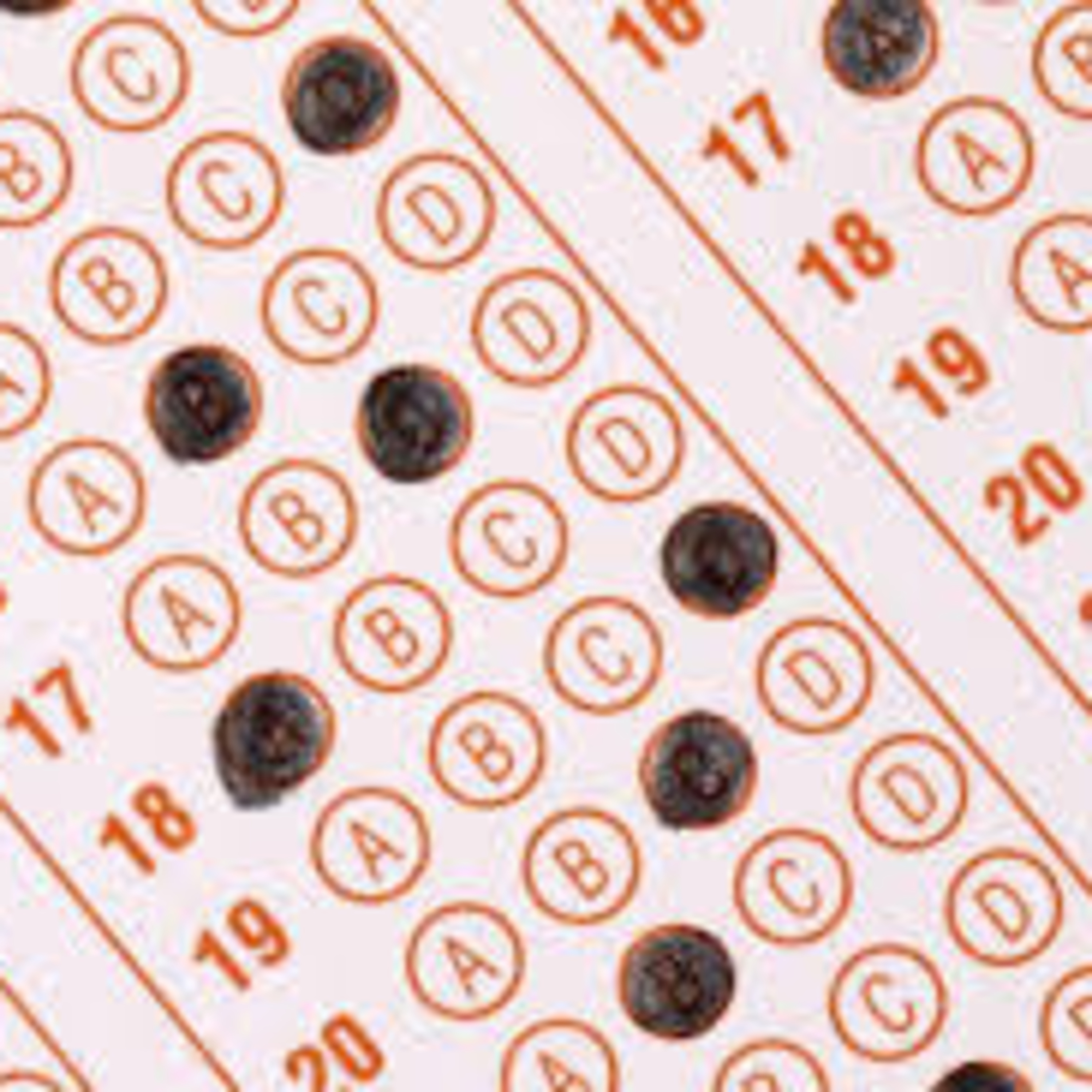 Warwick Farm: Conifer- Standardized Testing episode artwork