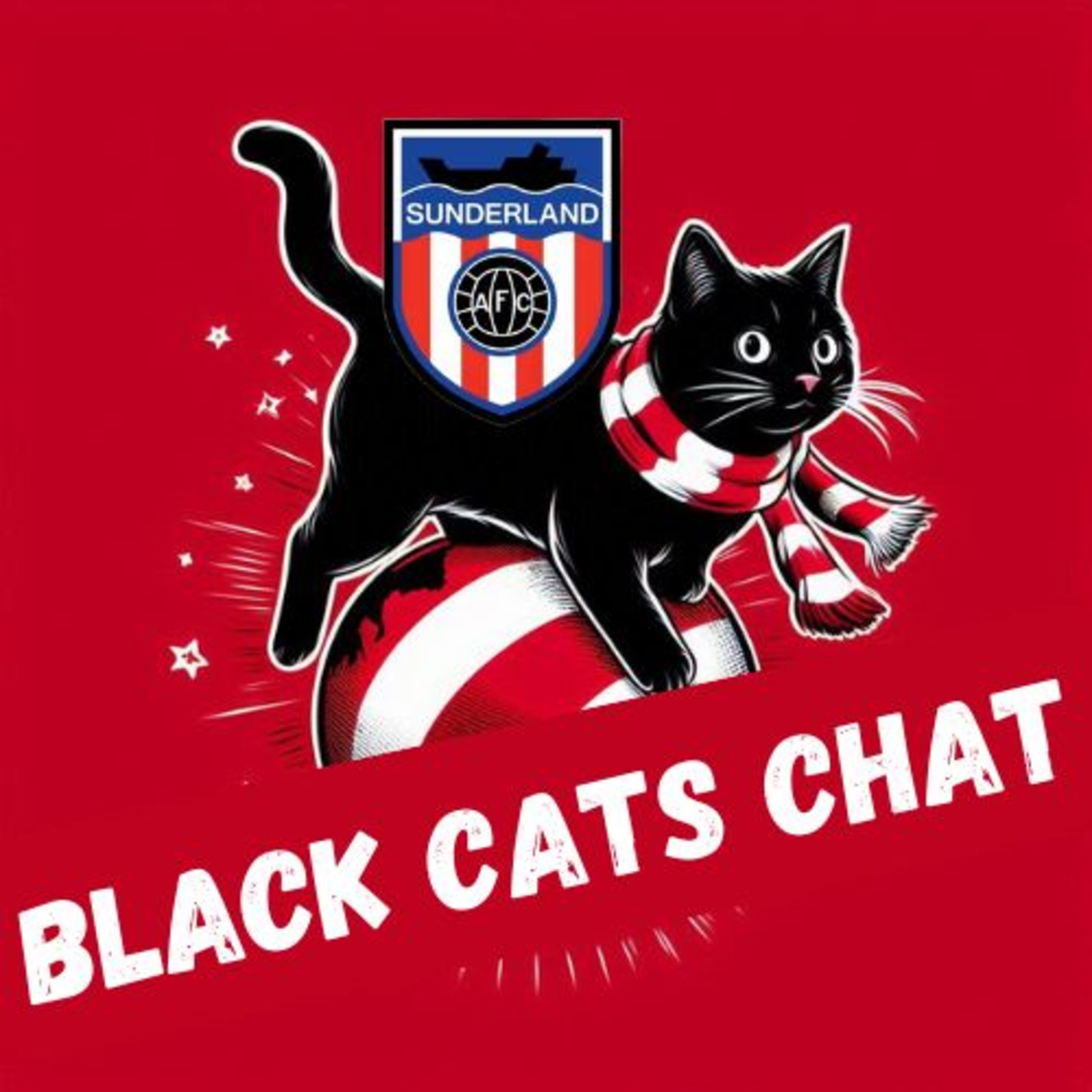 Black Cats Chat