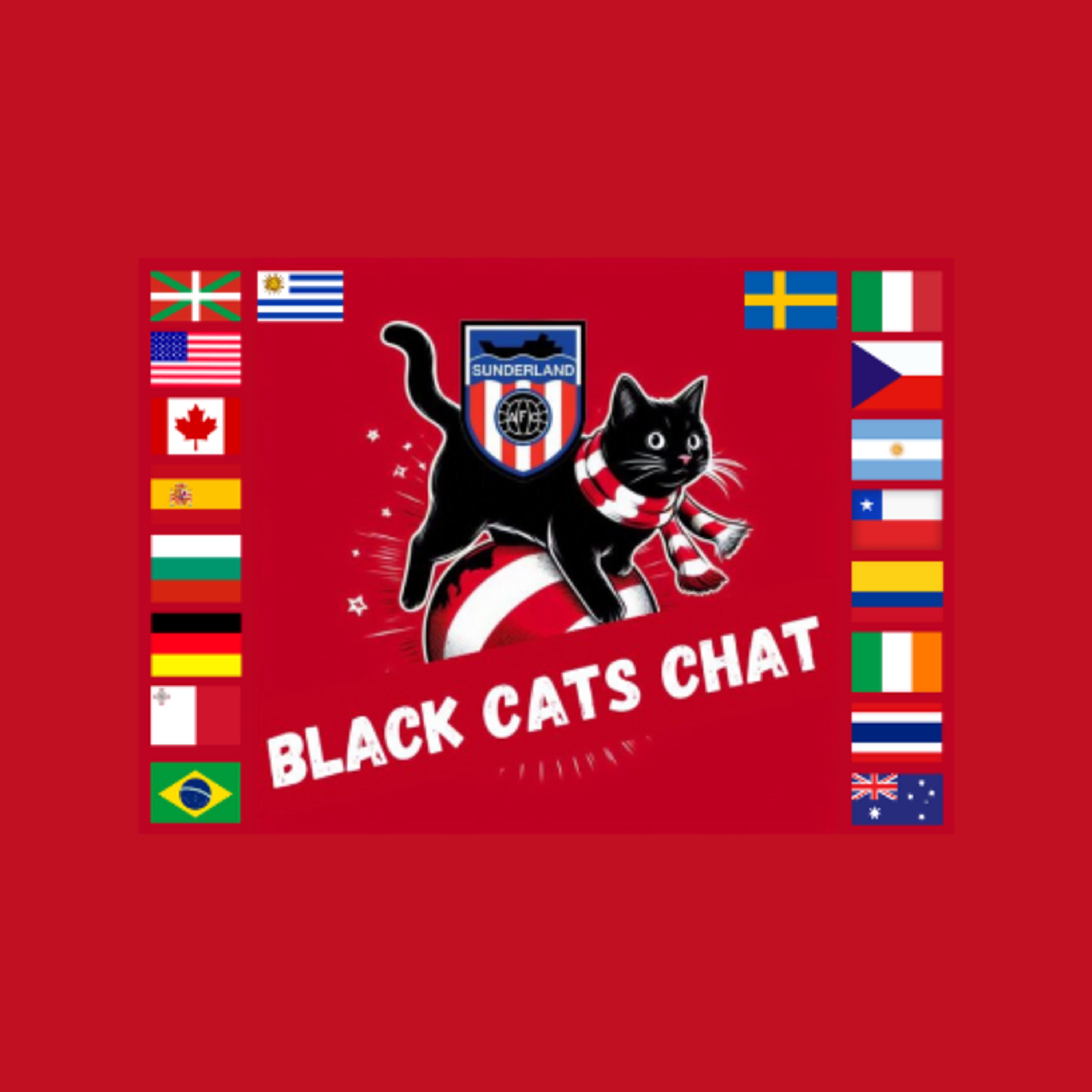 Black Cats Chat