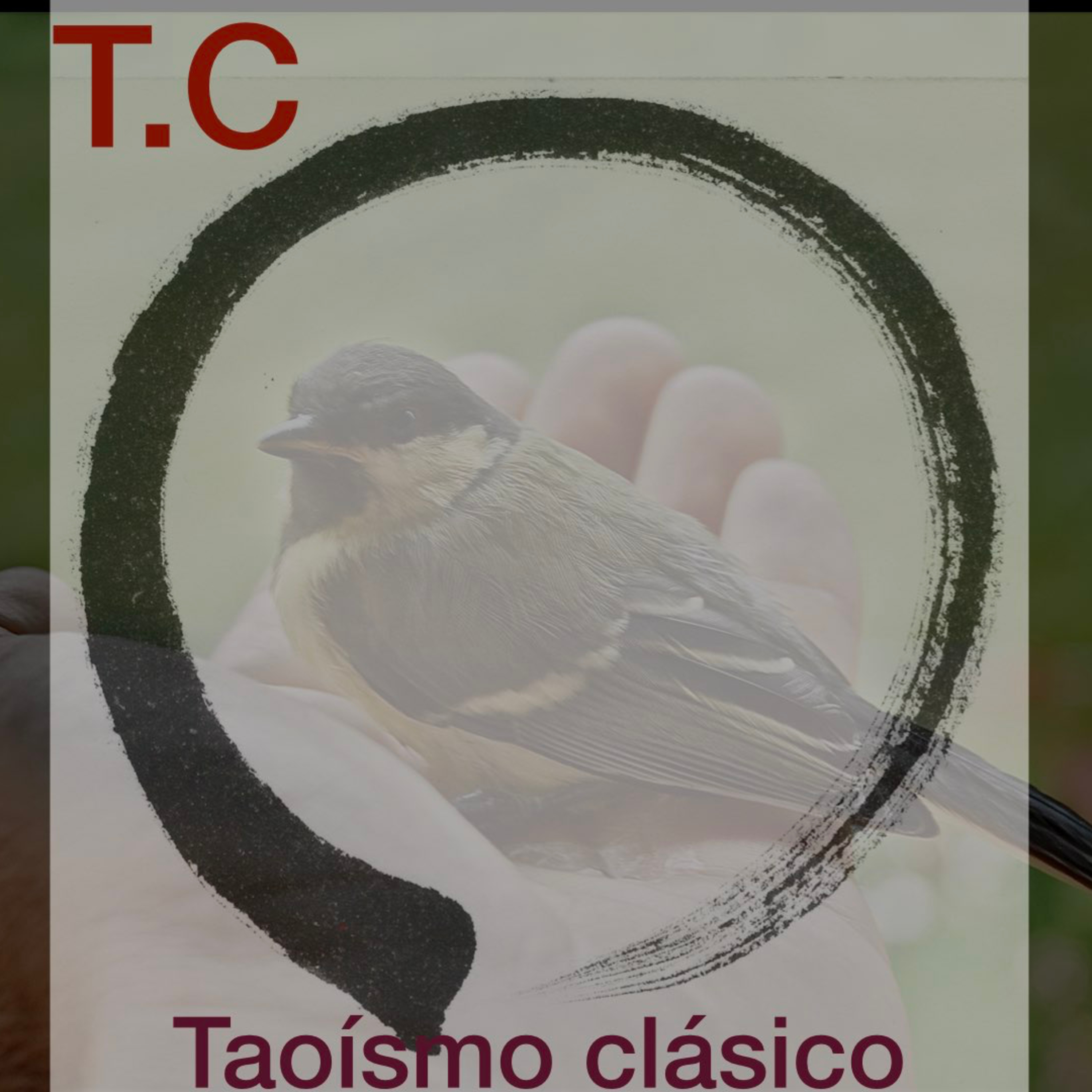 La energía en el taoísmo.T2: capítulo20