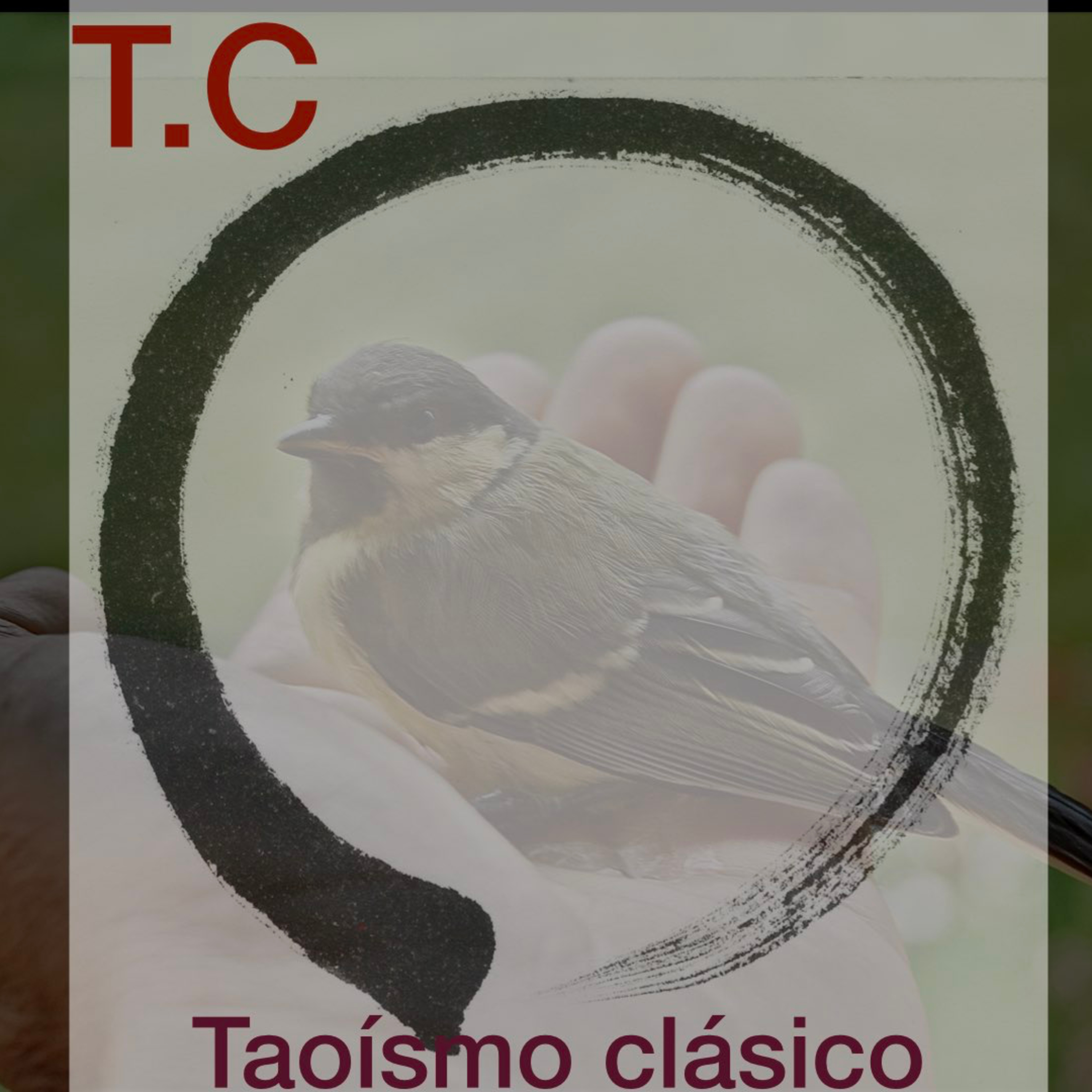 Prácticas Taoístas. ¿Por donde empezar? T:2.Cap. 24