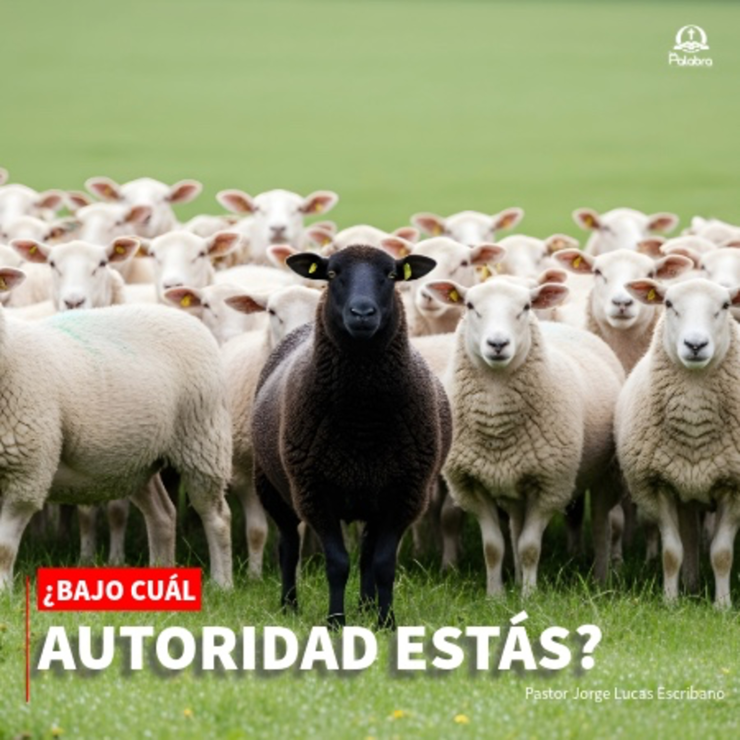 ¿Bajo cuál autoridad estás? - Pastor Jorge Lucas Escribano episode artwork