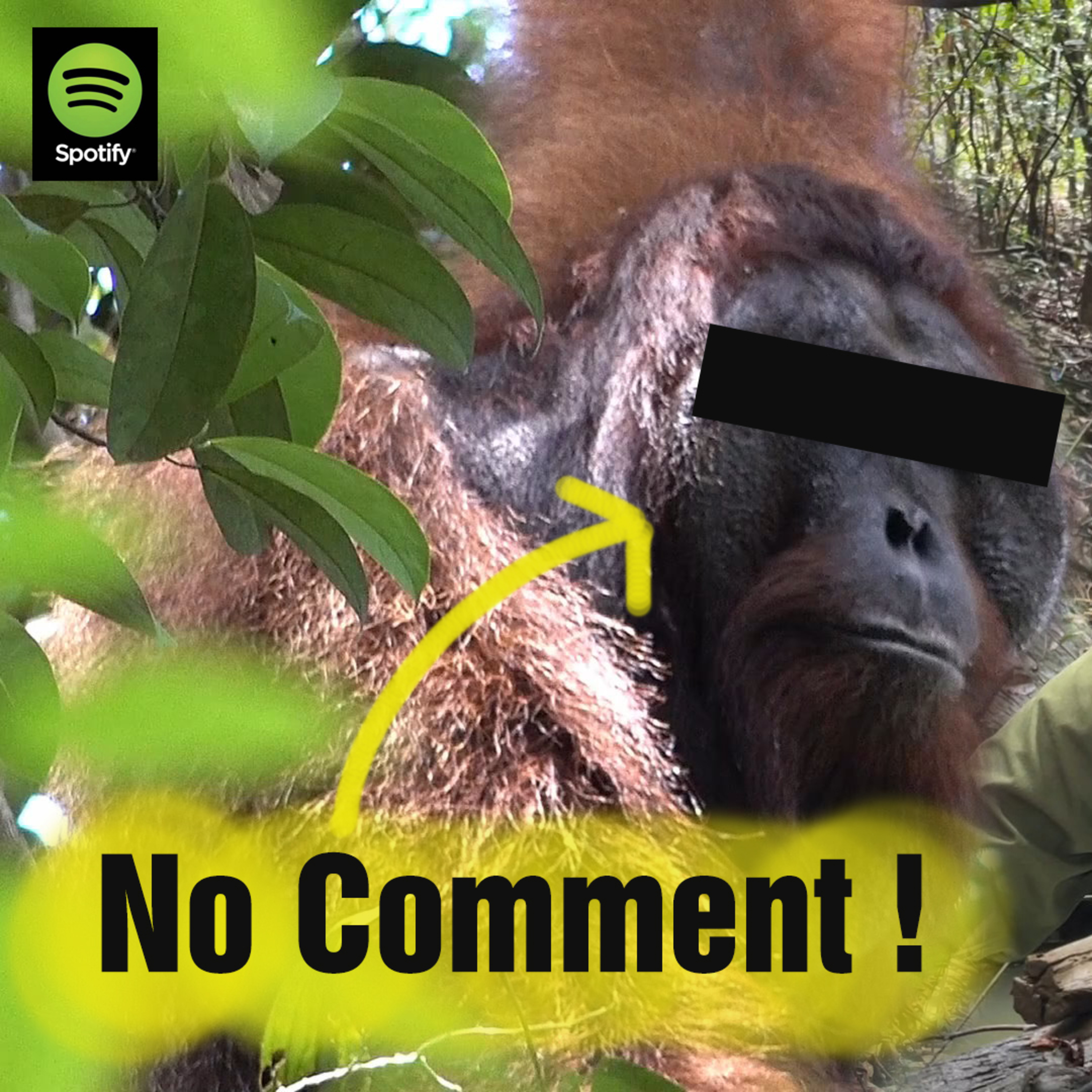 (ID) Dengar Chanee Kalaweit