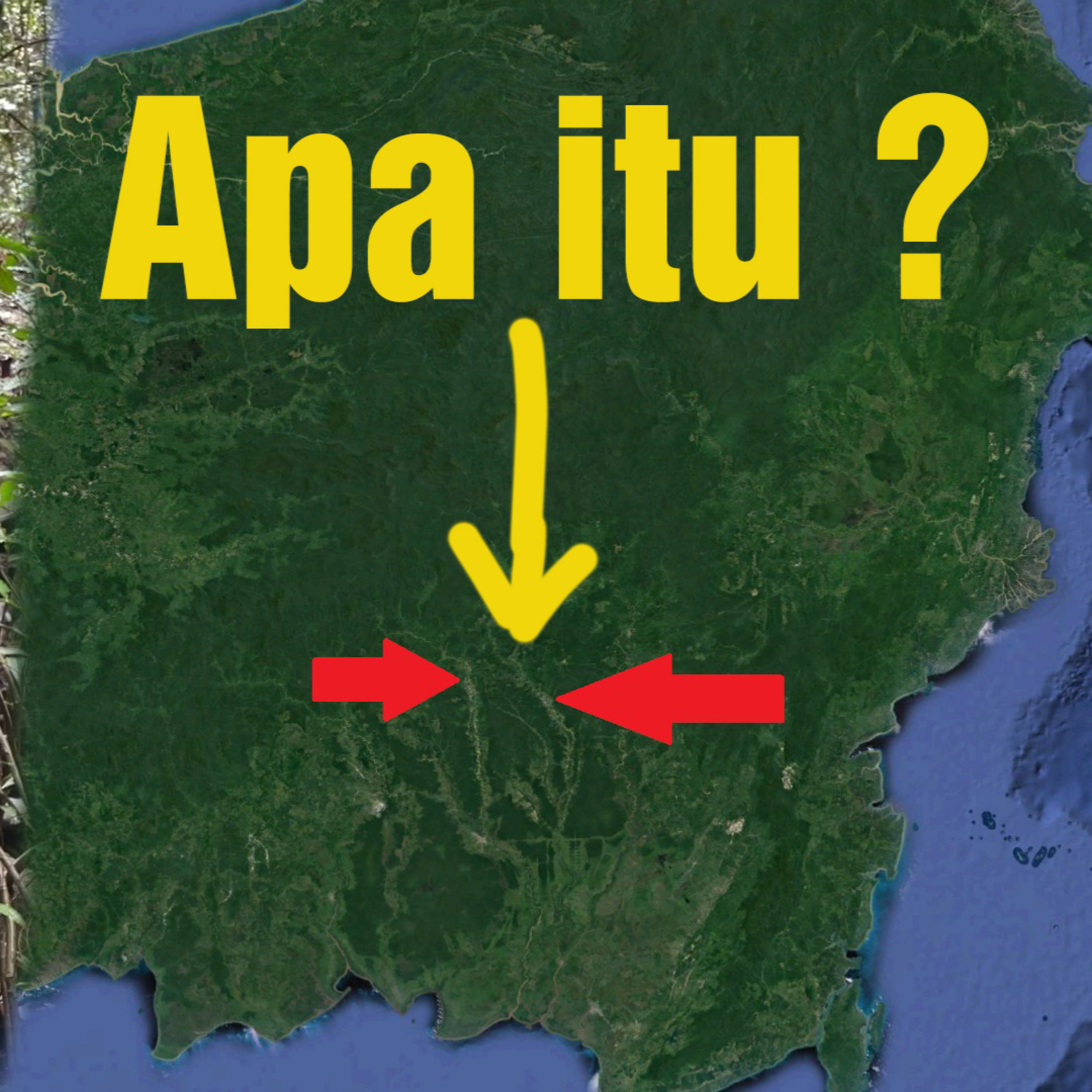 (ID) Dengar Chanee Kalaweit