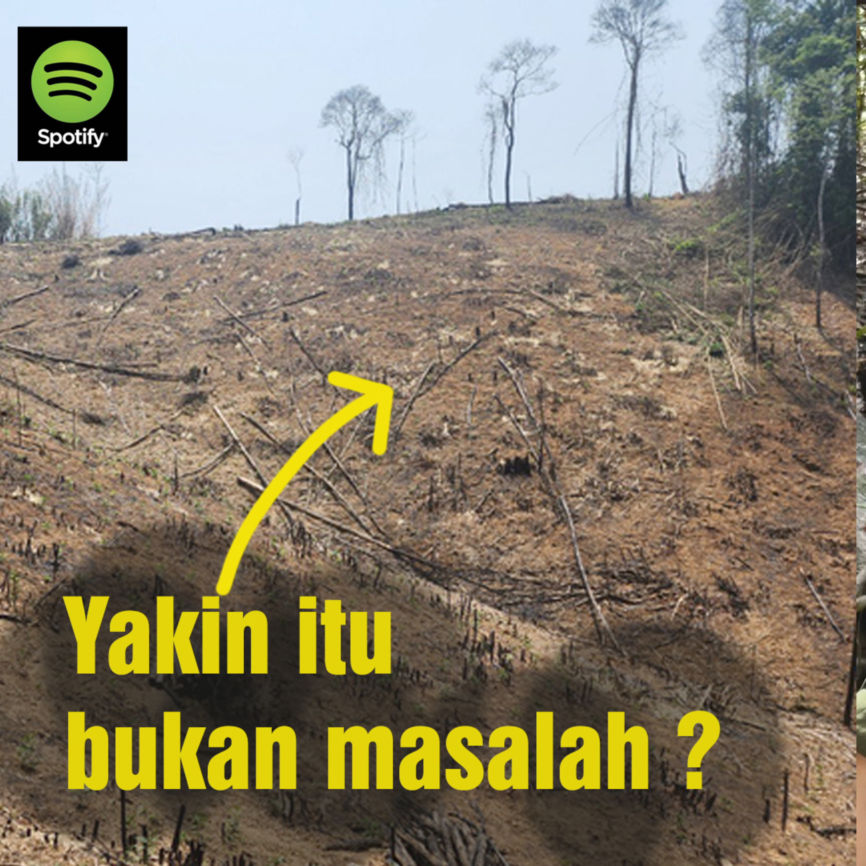 (ID) Dengar Chanee Kalaweit