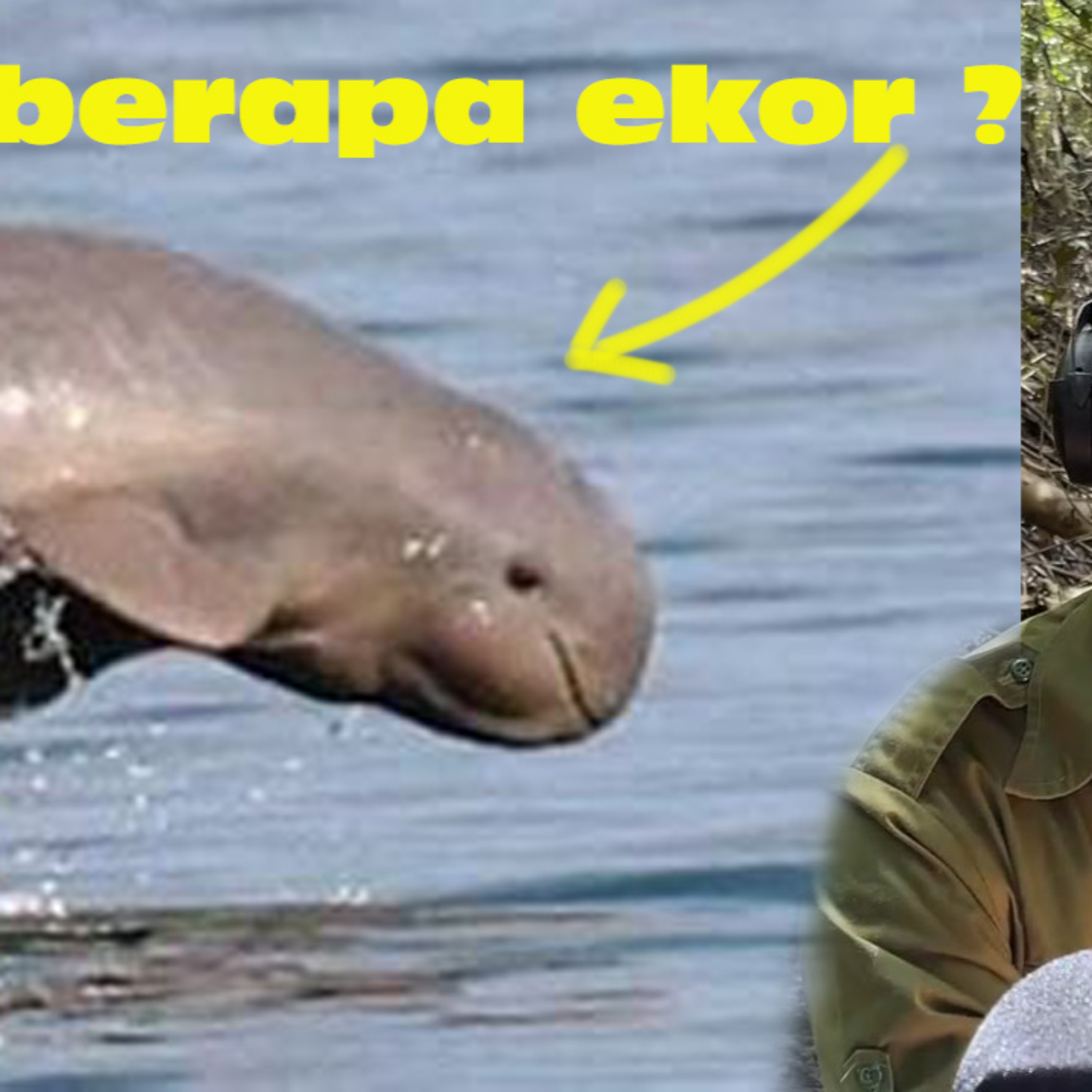 (ID) Dengar Chanee Kalaweit