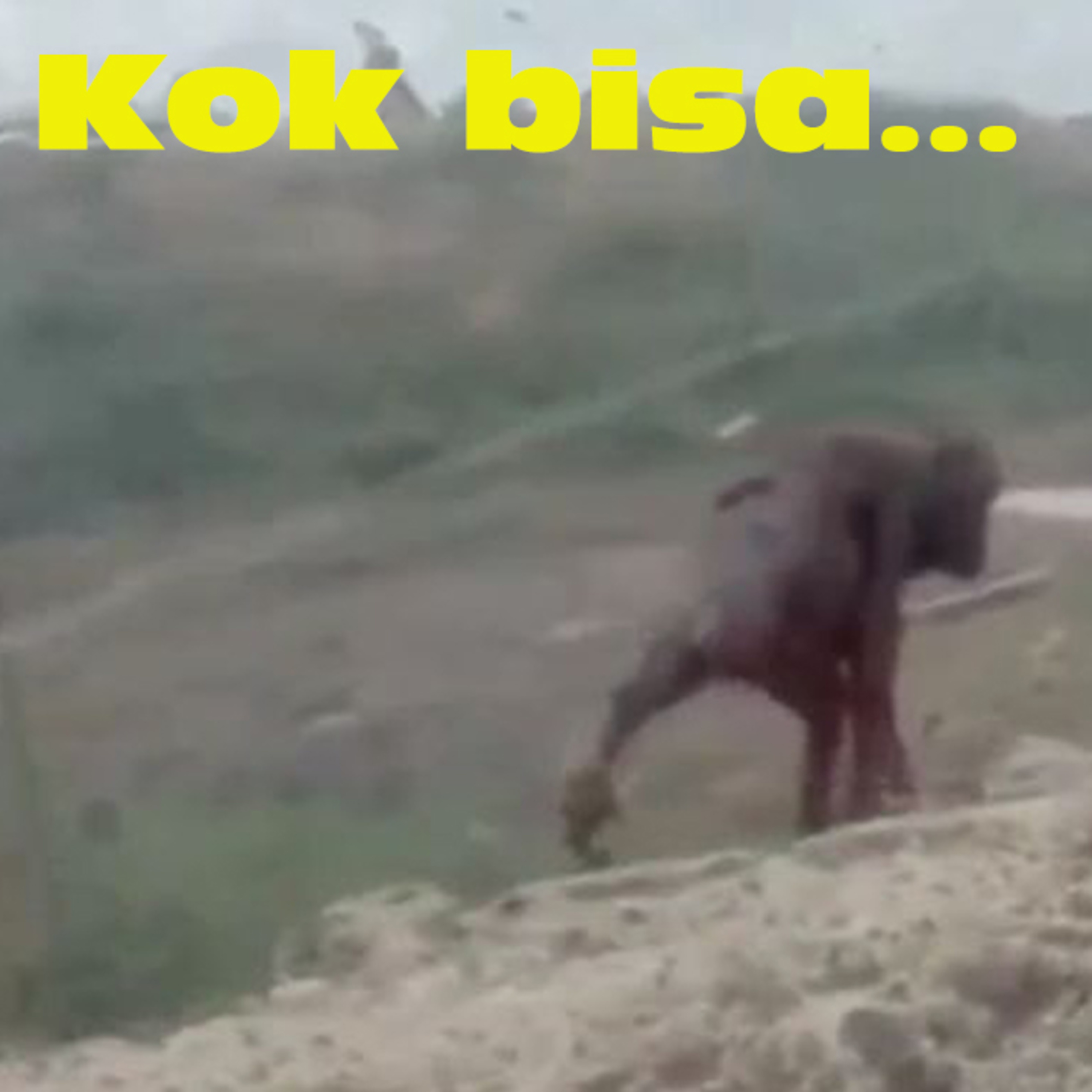 (ID) Dengar Chanee Kalaweit