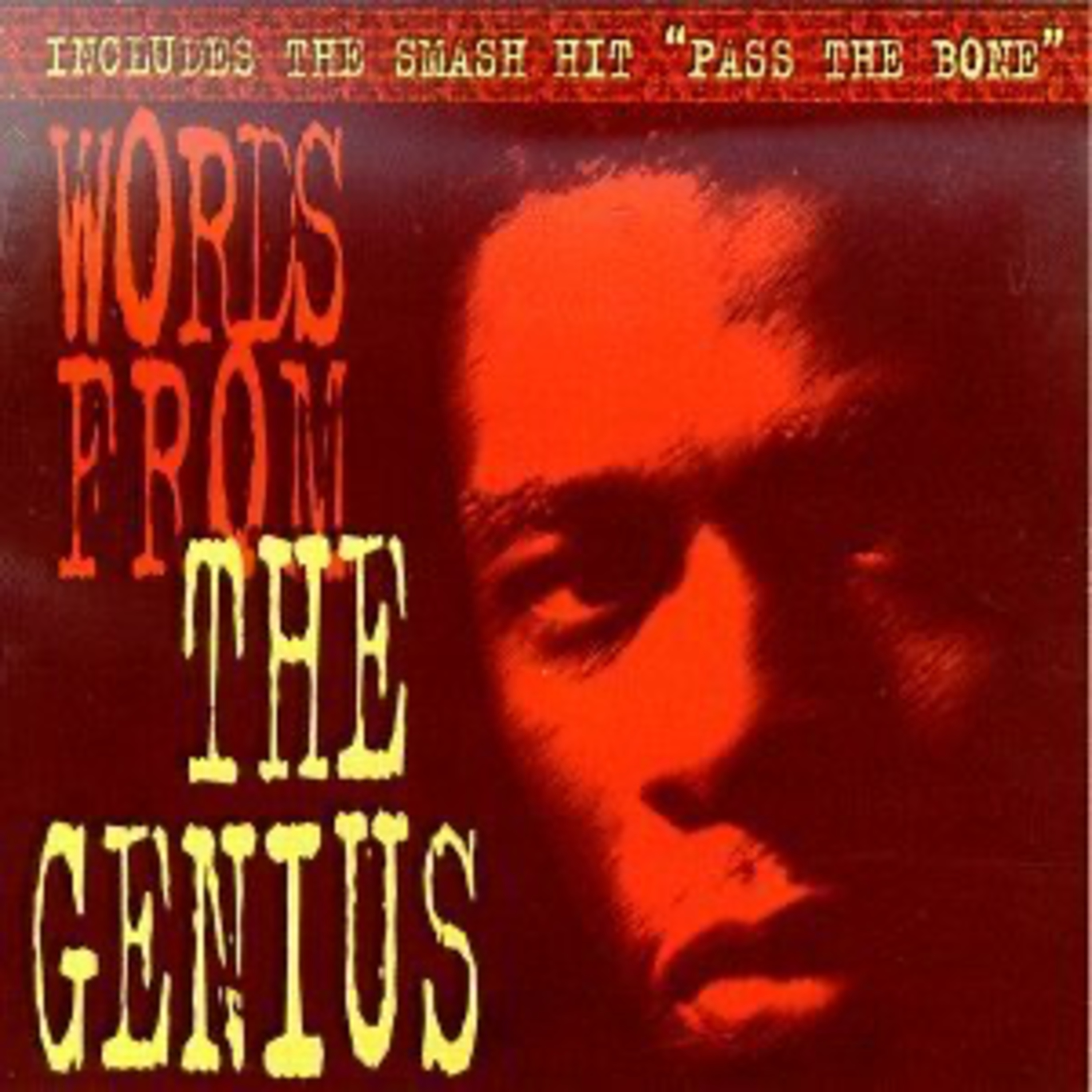 The Genius (GZA) - Words From The Genius