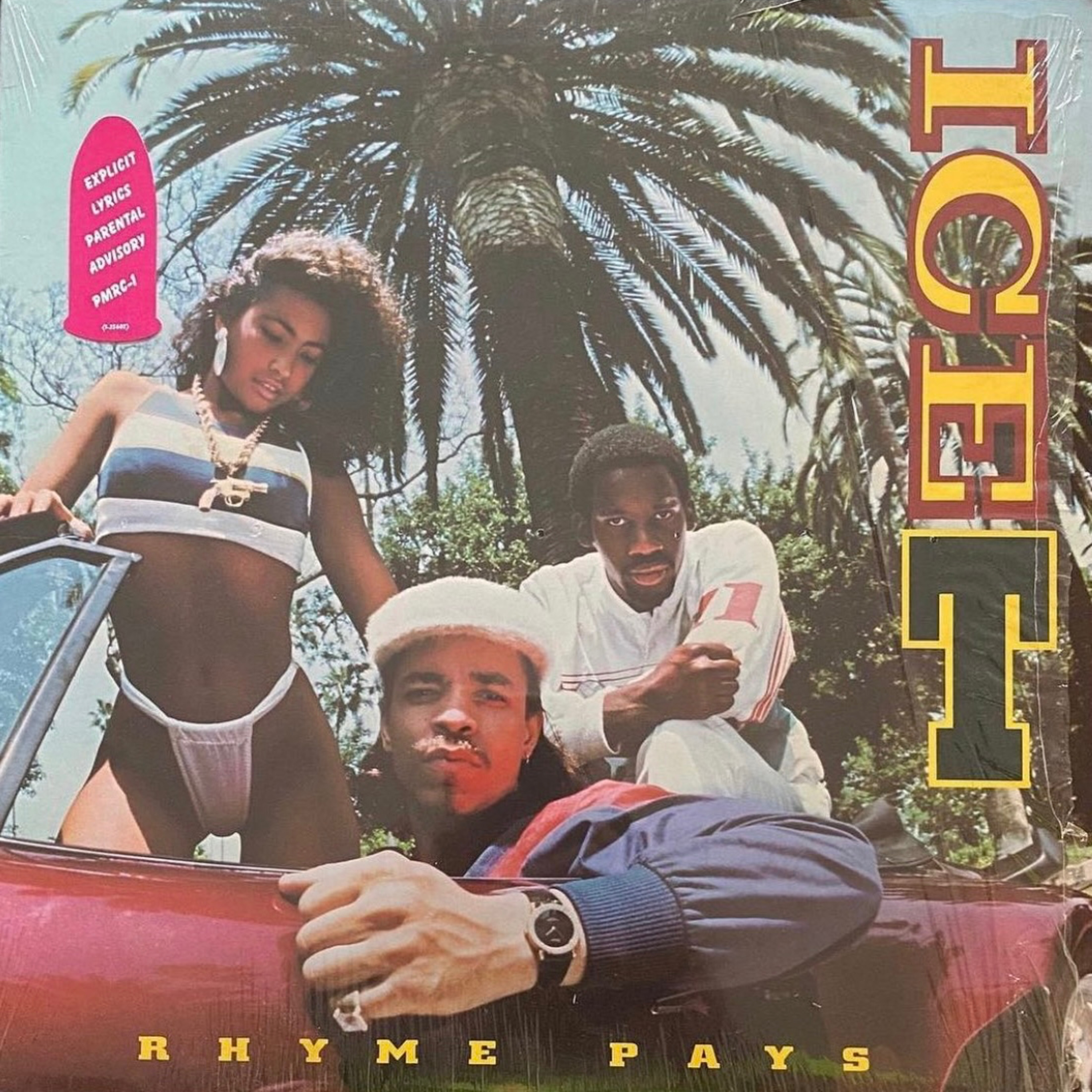Ice-T - Rhyme Pays