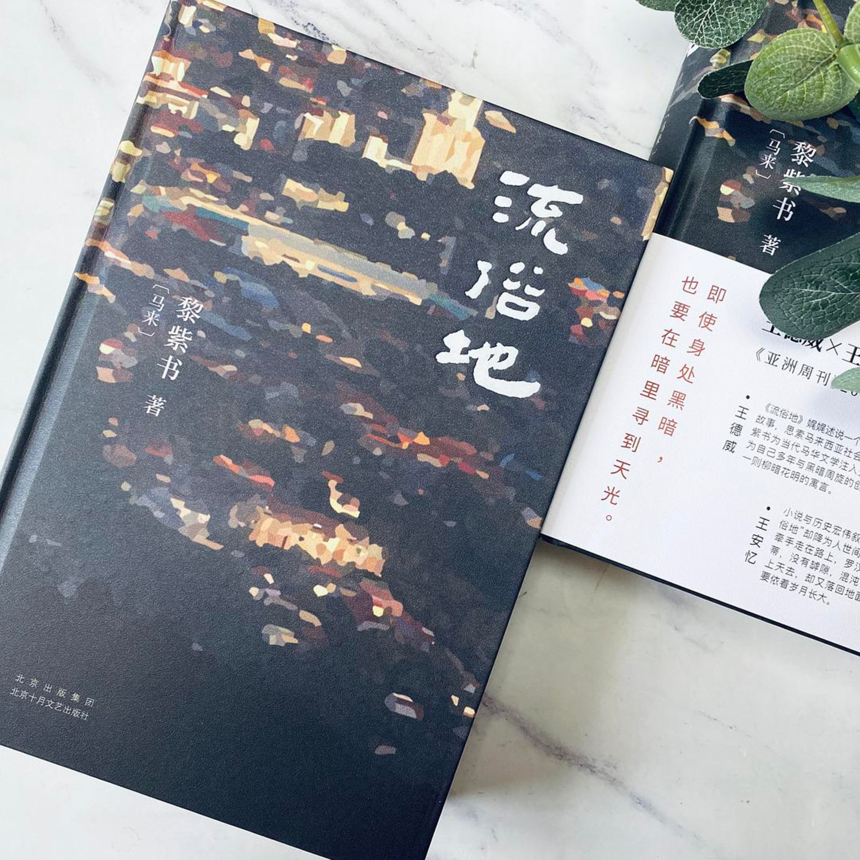 02.认清生活真相后依然热爱生活:《流俗地》阅读小记 (下) episode artwork