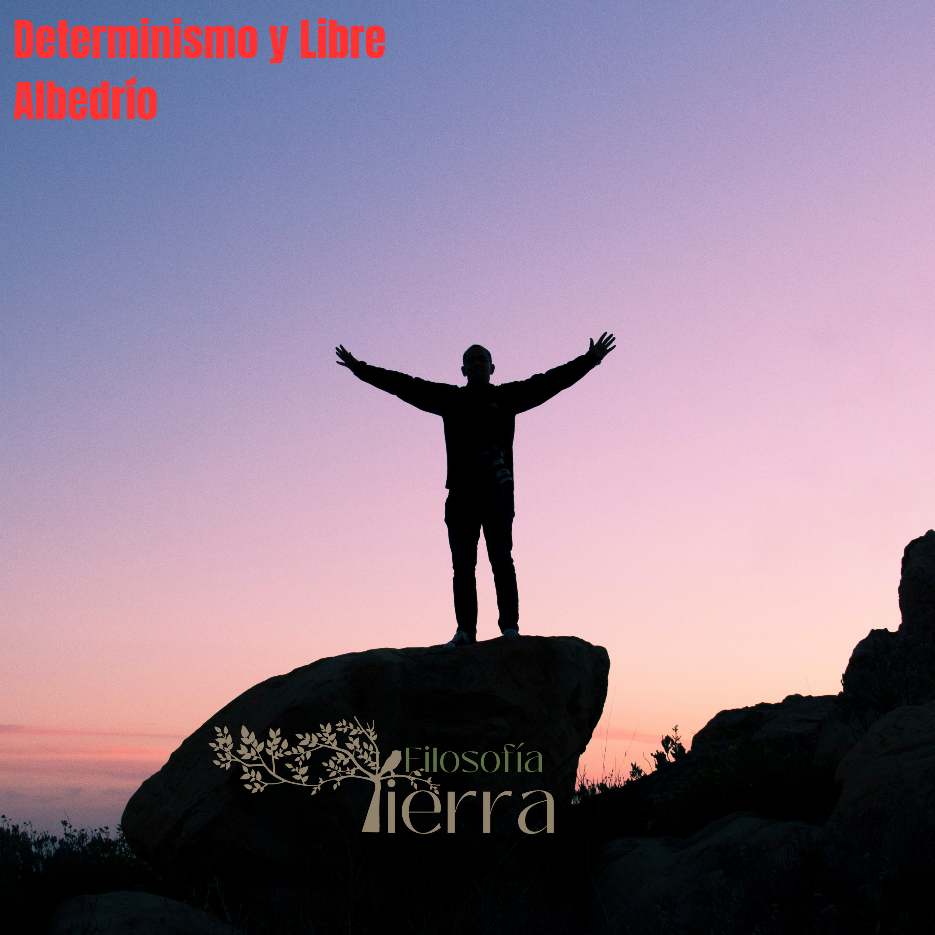 #209 METAFÍSICA Y ONTOLOGÍA #Día 24 | Determinismo y Libre Albedrío episode artwork