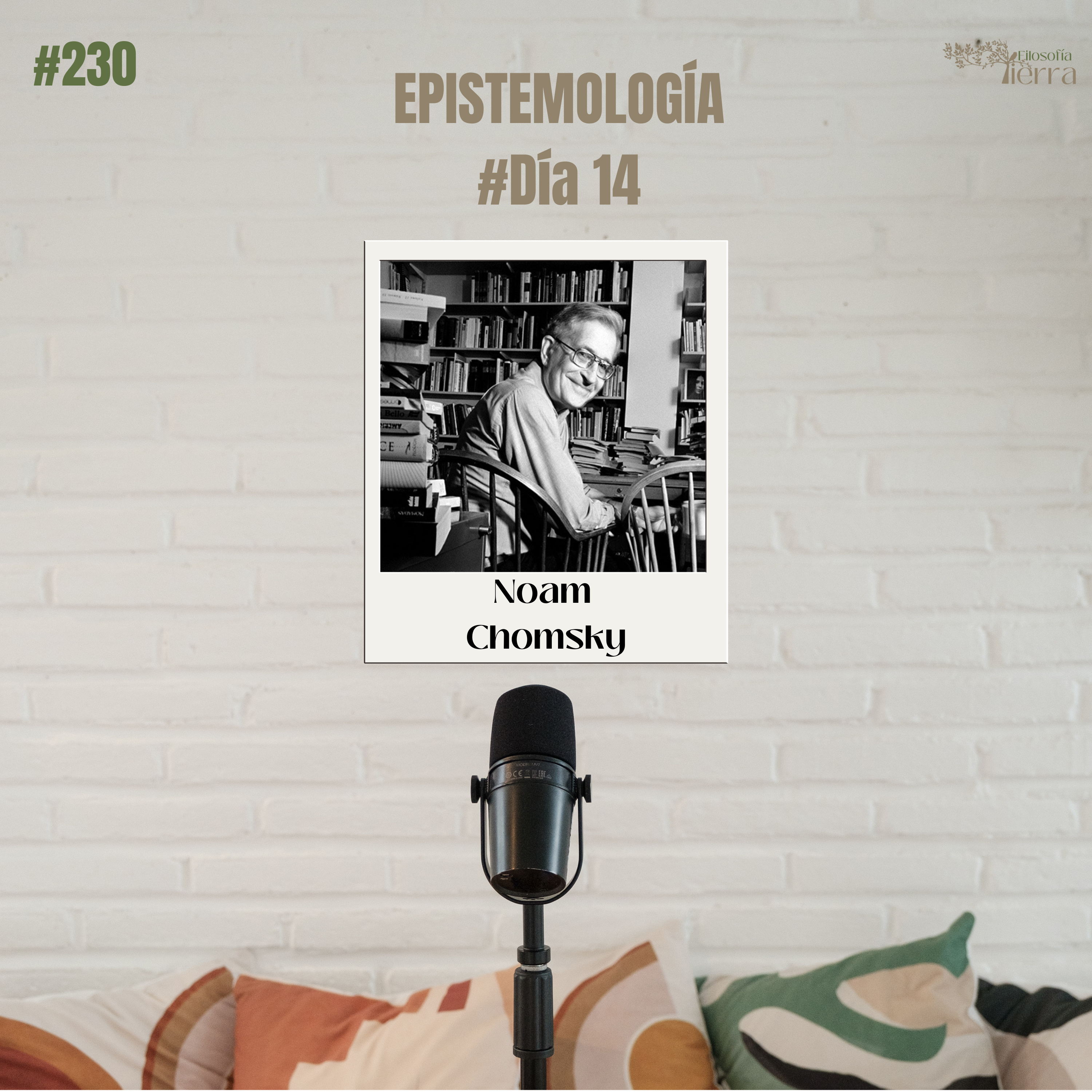 #230 EPISTEMOLOGÍA #Día14 | PRINCIPALES RACIONALISTAS (Noam Chomsky) episode artwork