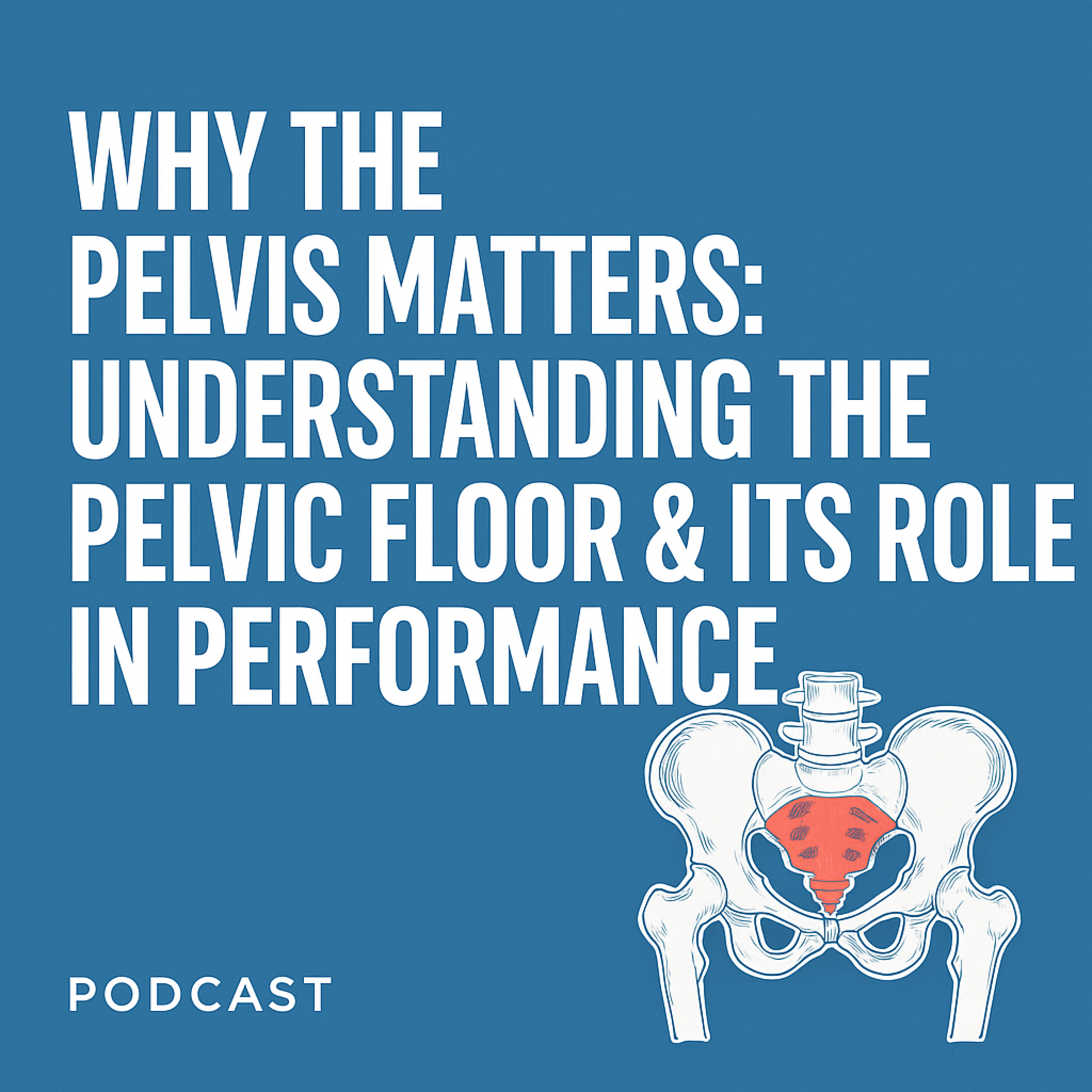 Why the Pelvis Matters: Understanding the Pelvic Floor & Its Role in Performance