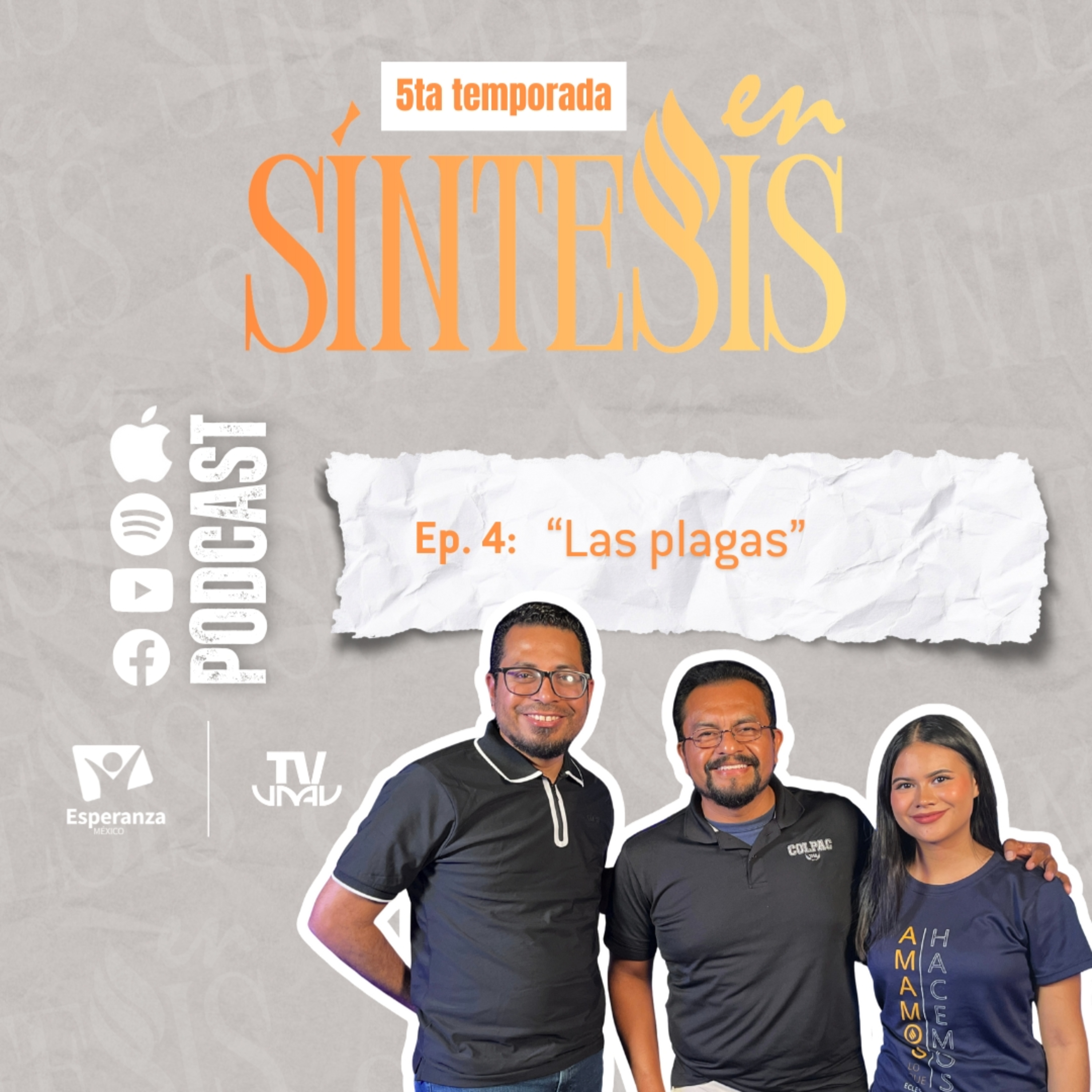 En síntesis