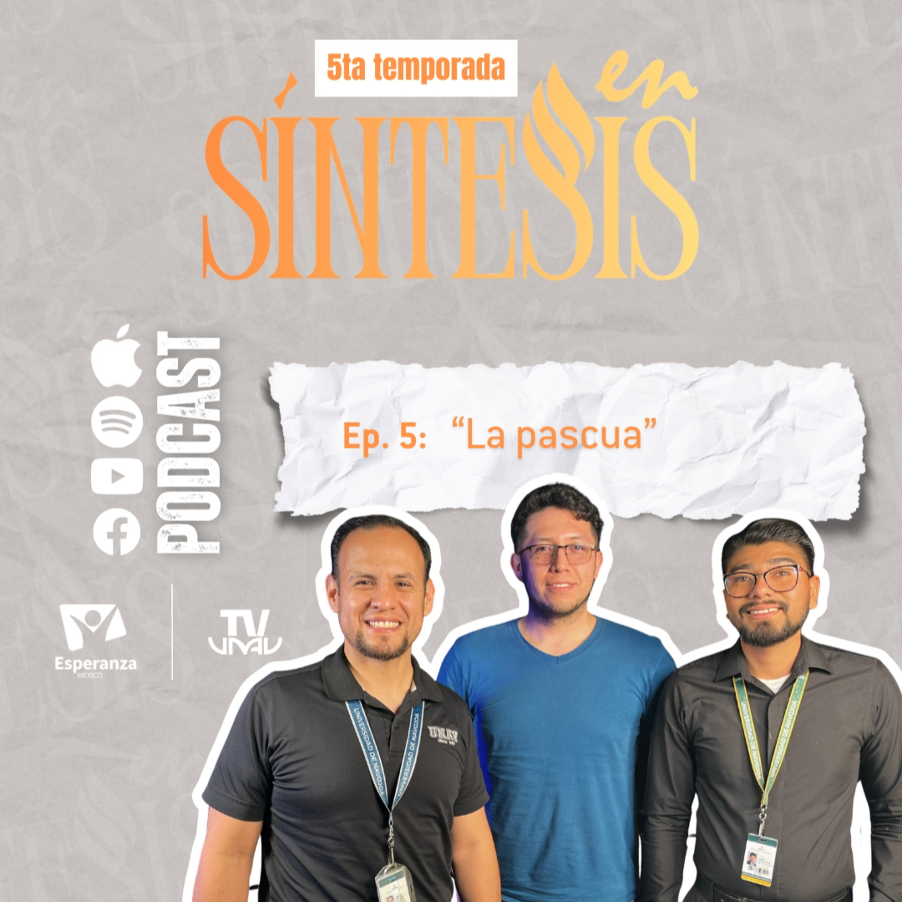 En síntesis