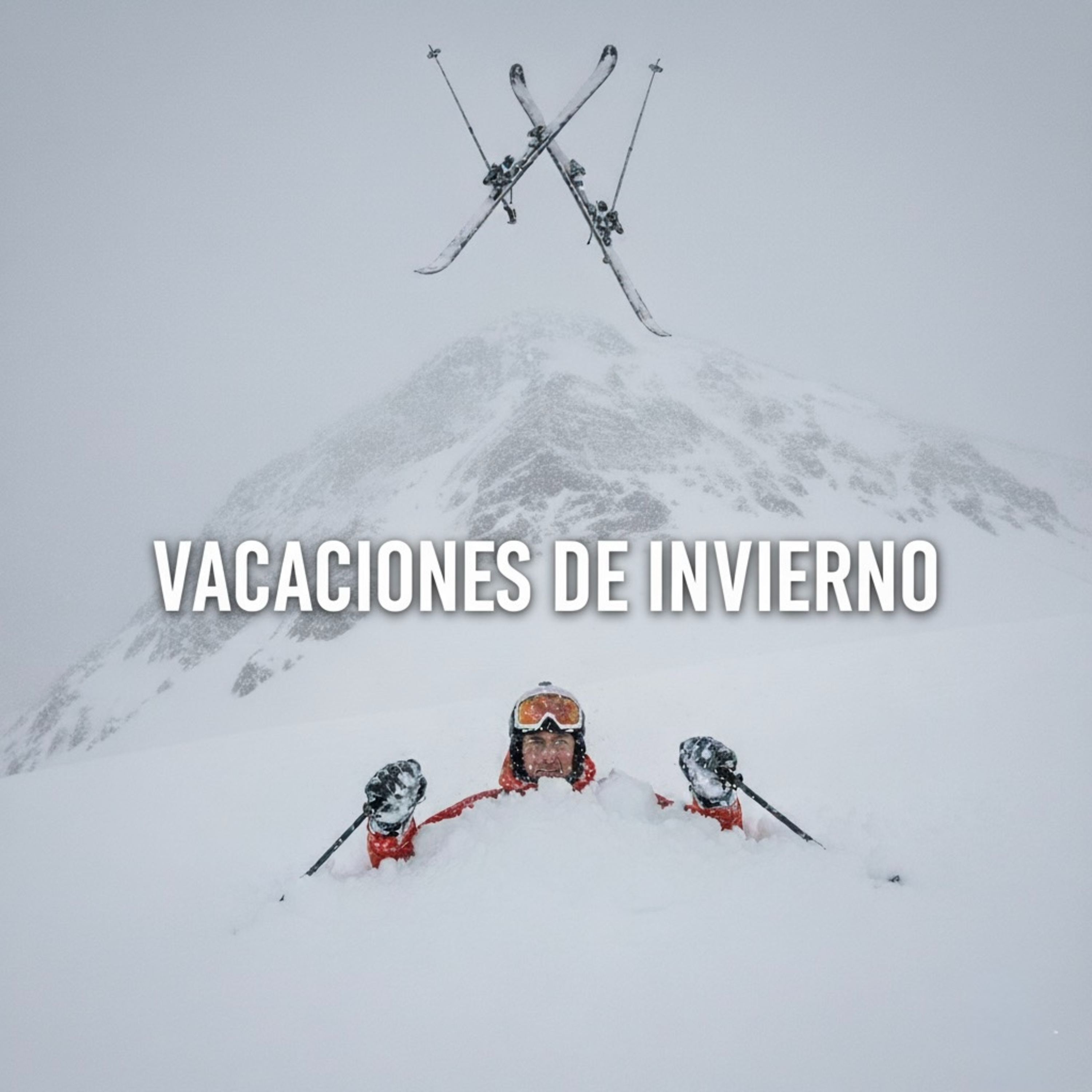 Vacaciones de invierno episode artwork