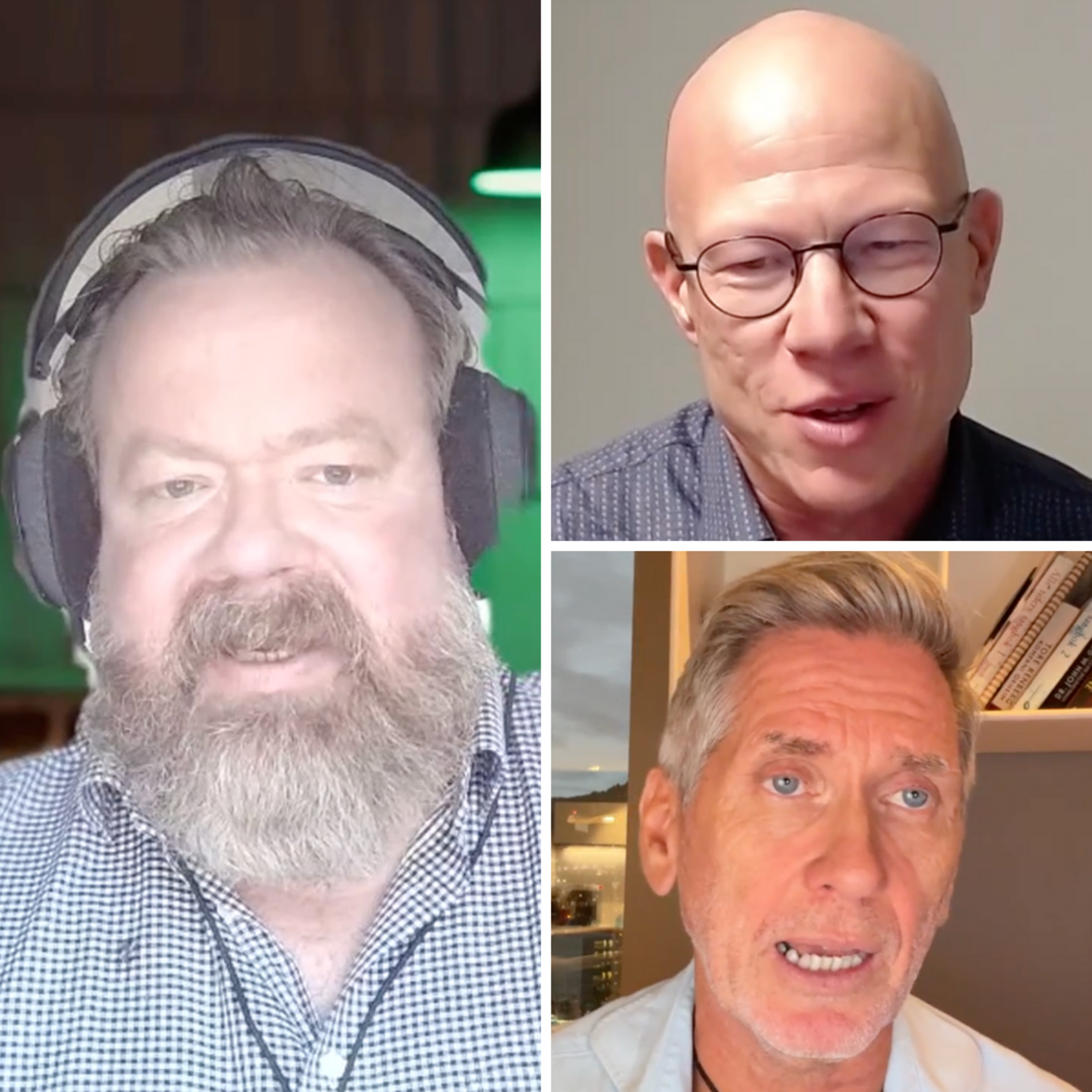 Ness Podcast: Ness 273 med Hesthammer og Sjølie – Politikerne fører folket bak lyset om klima og energi Ness episode image