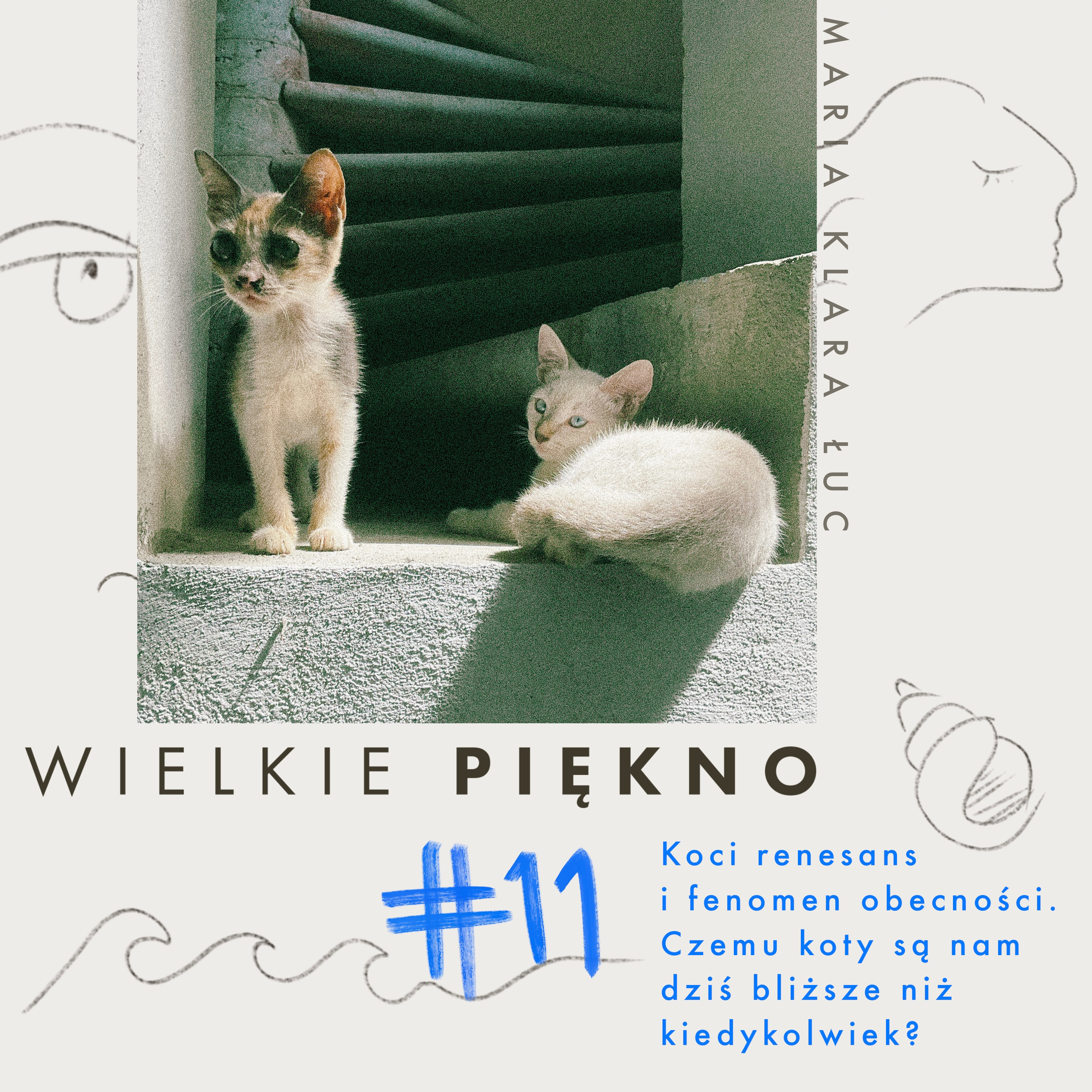 #11 Koci renesans i fenomen obecności. Czemu koty są nam dziś bliższe bardziej niż kiedykolwiek? episode artwork