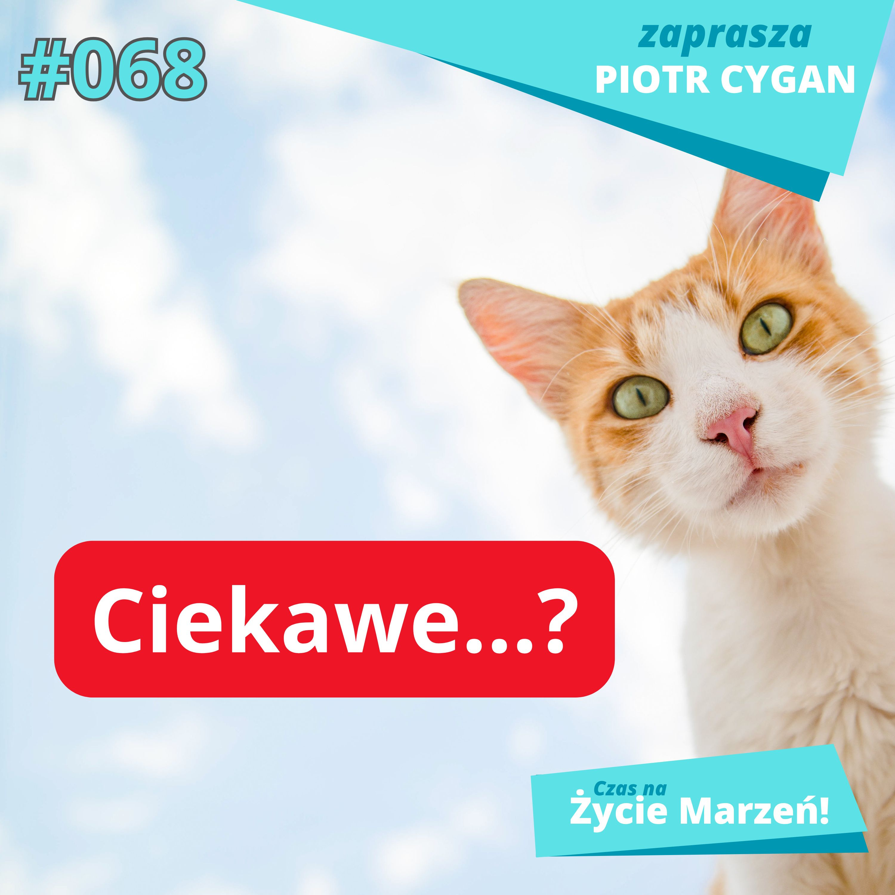 To prawdziwy SEKRET witalności episode artwork